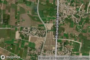 Distributary Number Five