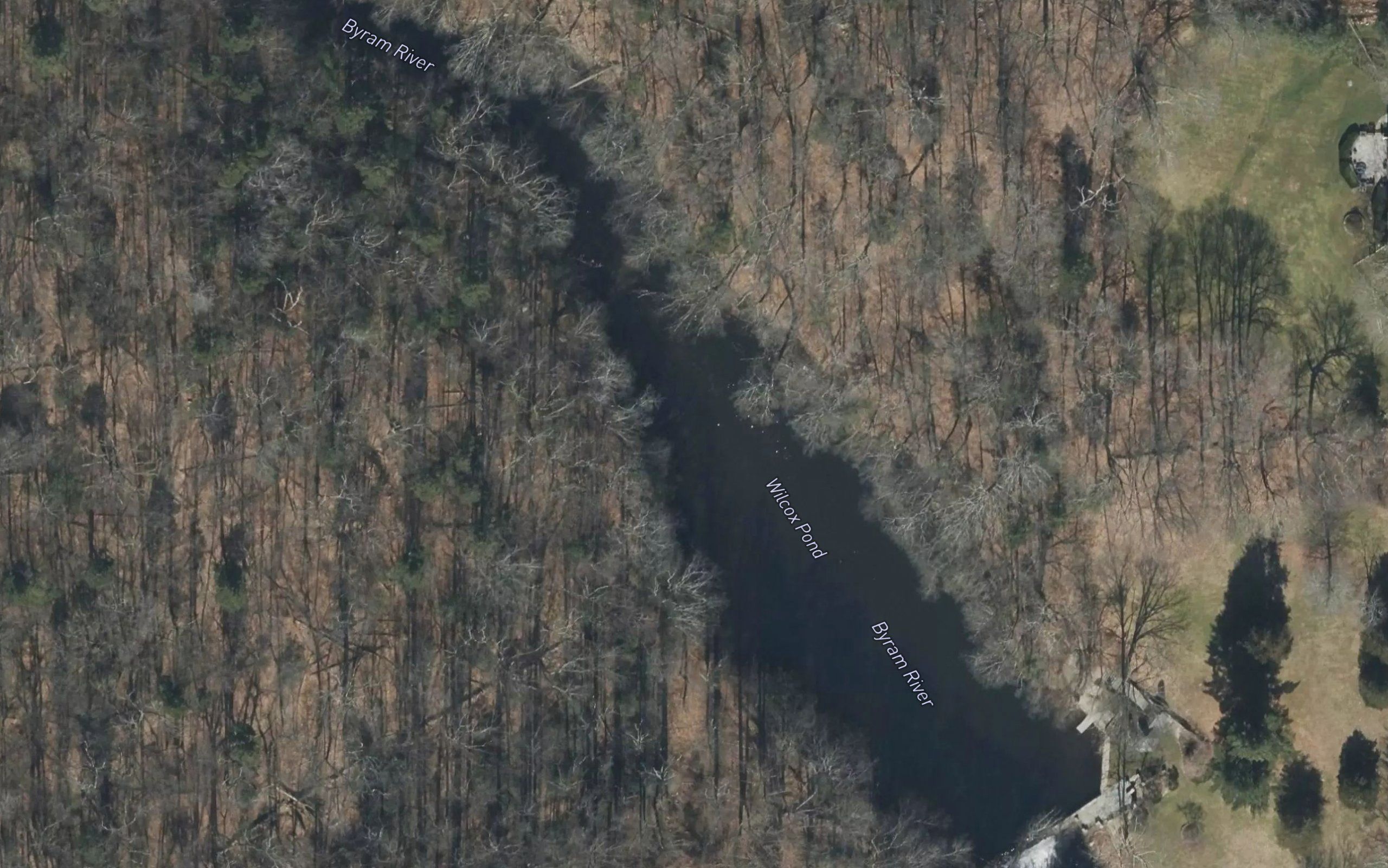 Wilcox Pond