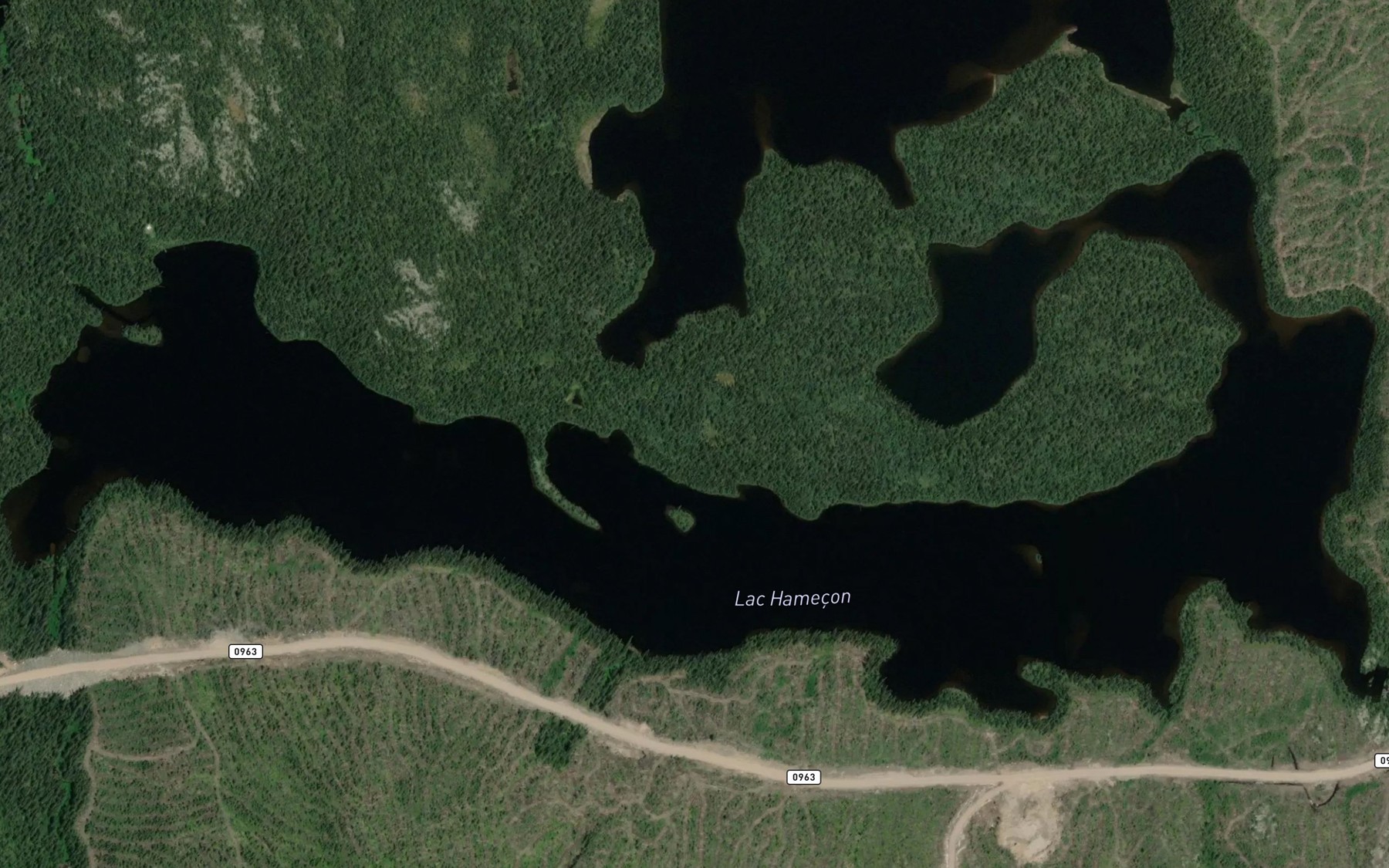 Satellite map of the Lac Hamecon