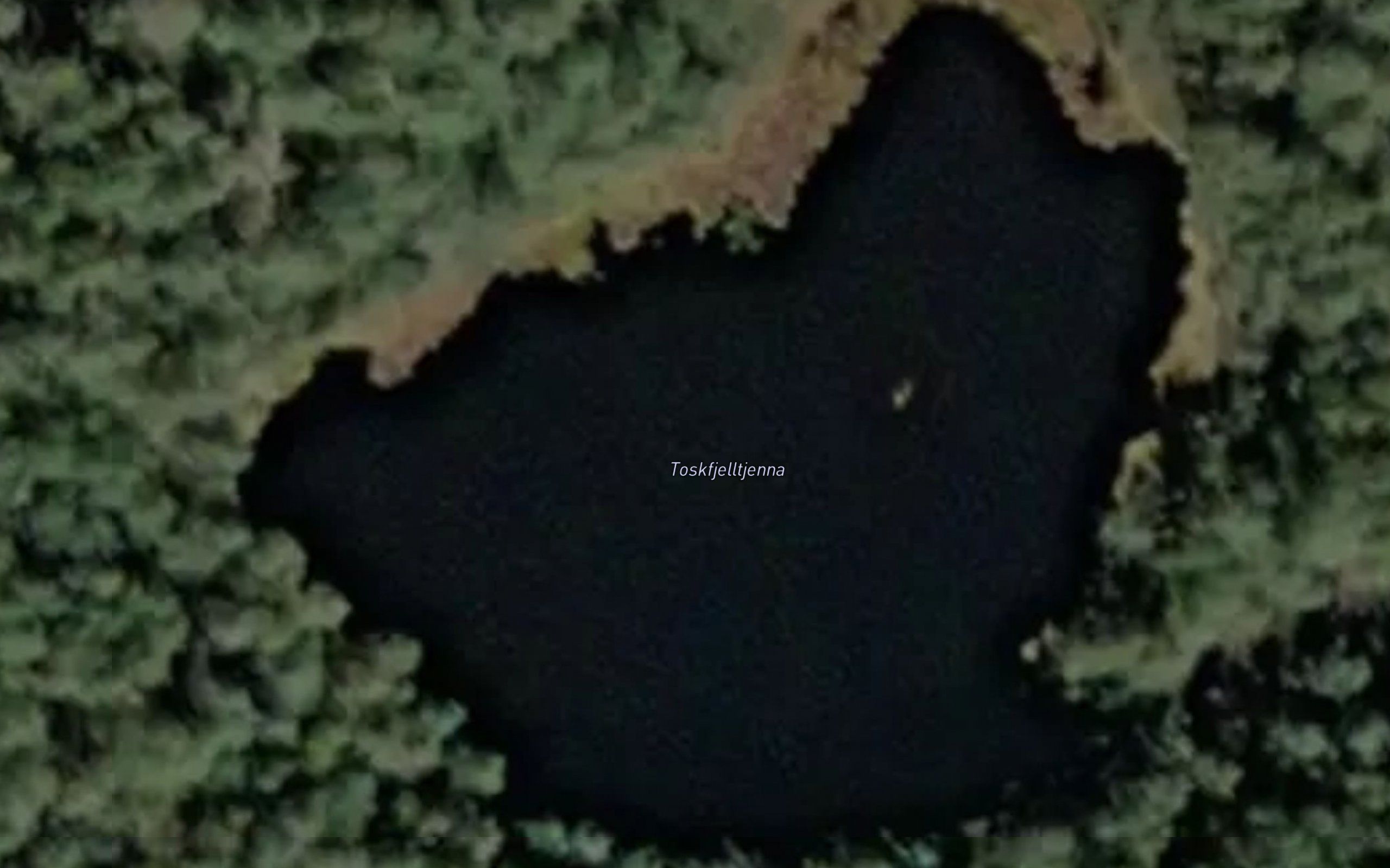 Torskfjelltjenna