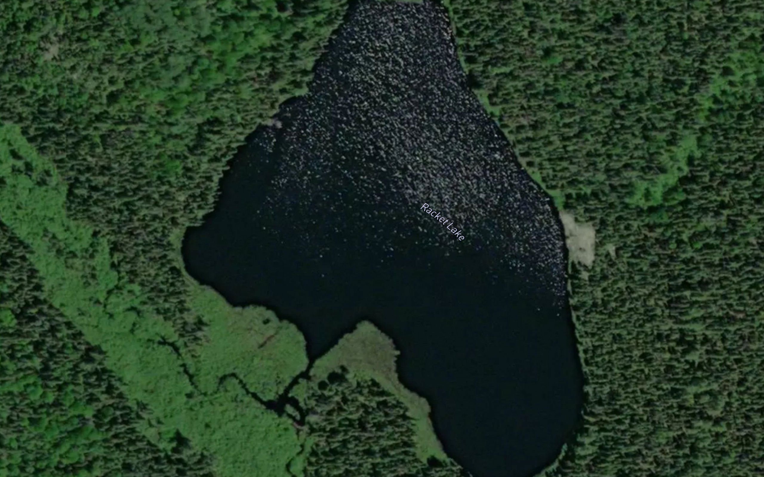 Racket Lake