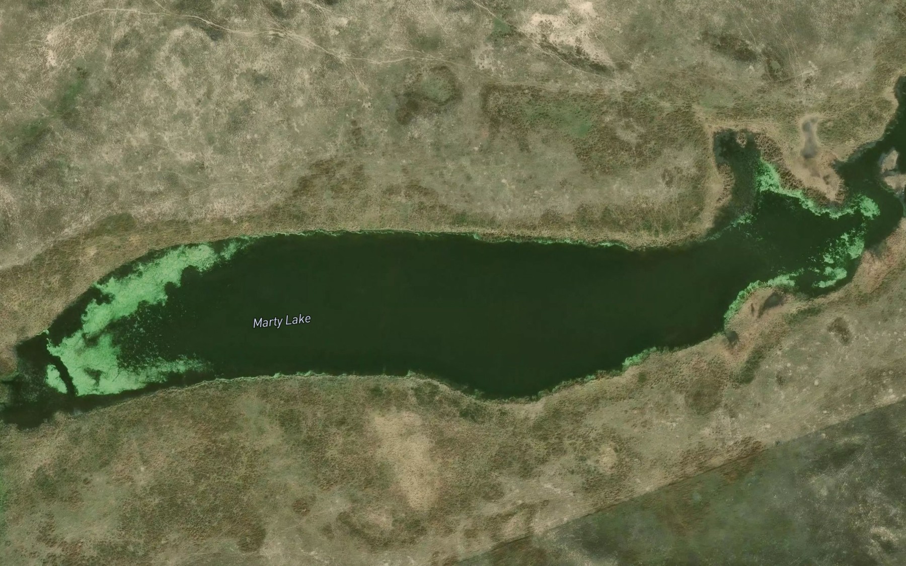 Satellite map of the Marty Lake