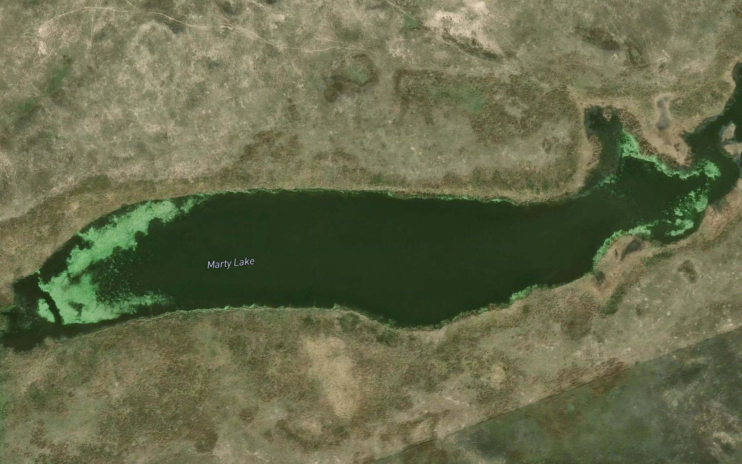 Marty Lake