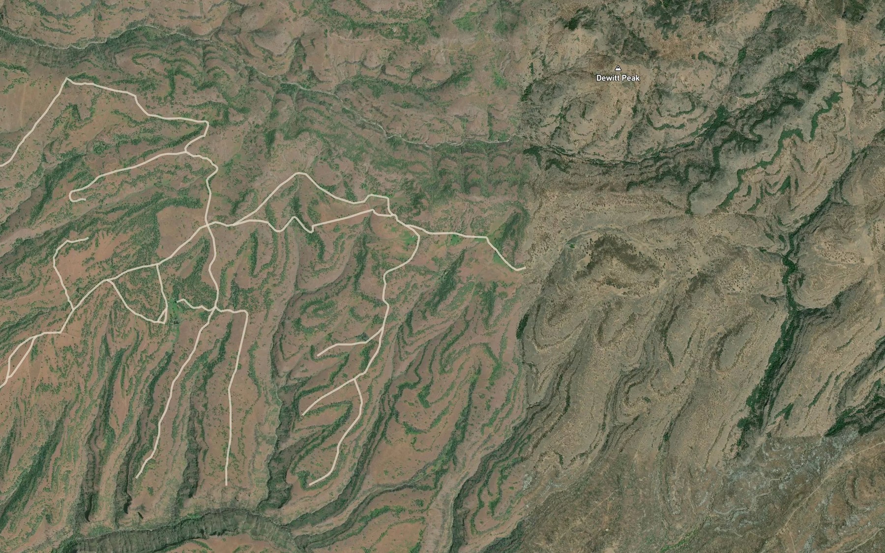 Satellite map of the Arts Pond