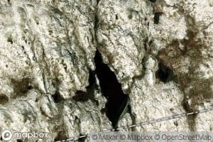 Gunnleikfisketjornan