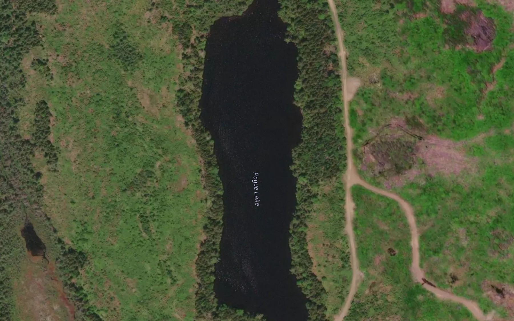 Satellite map of the Pogue Lake