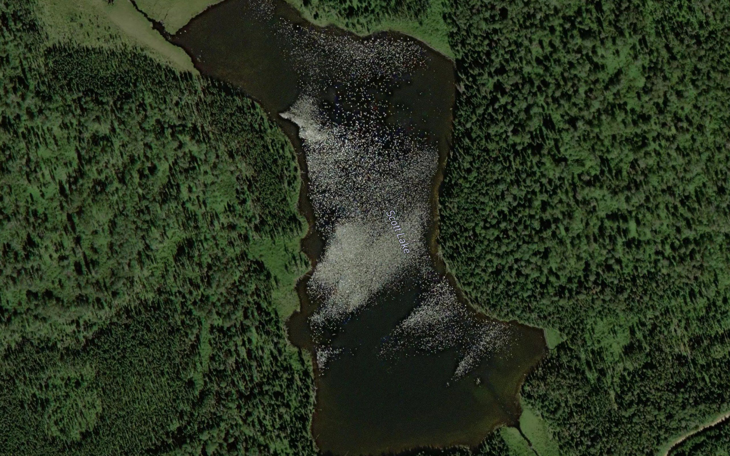 Scott Lake