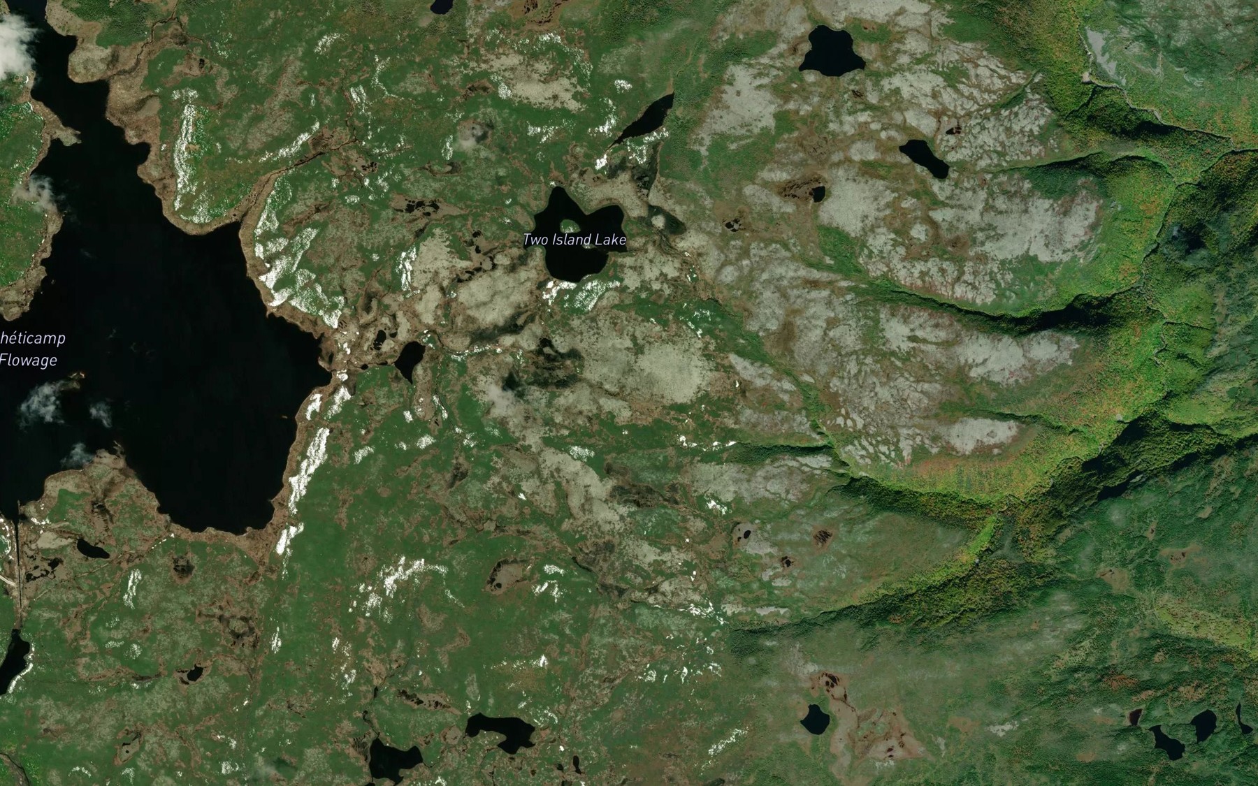 Satellite map of the Rocky Pond