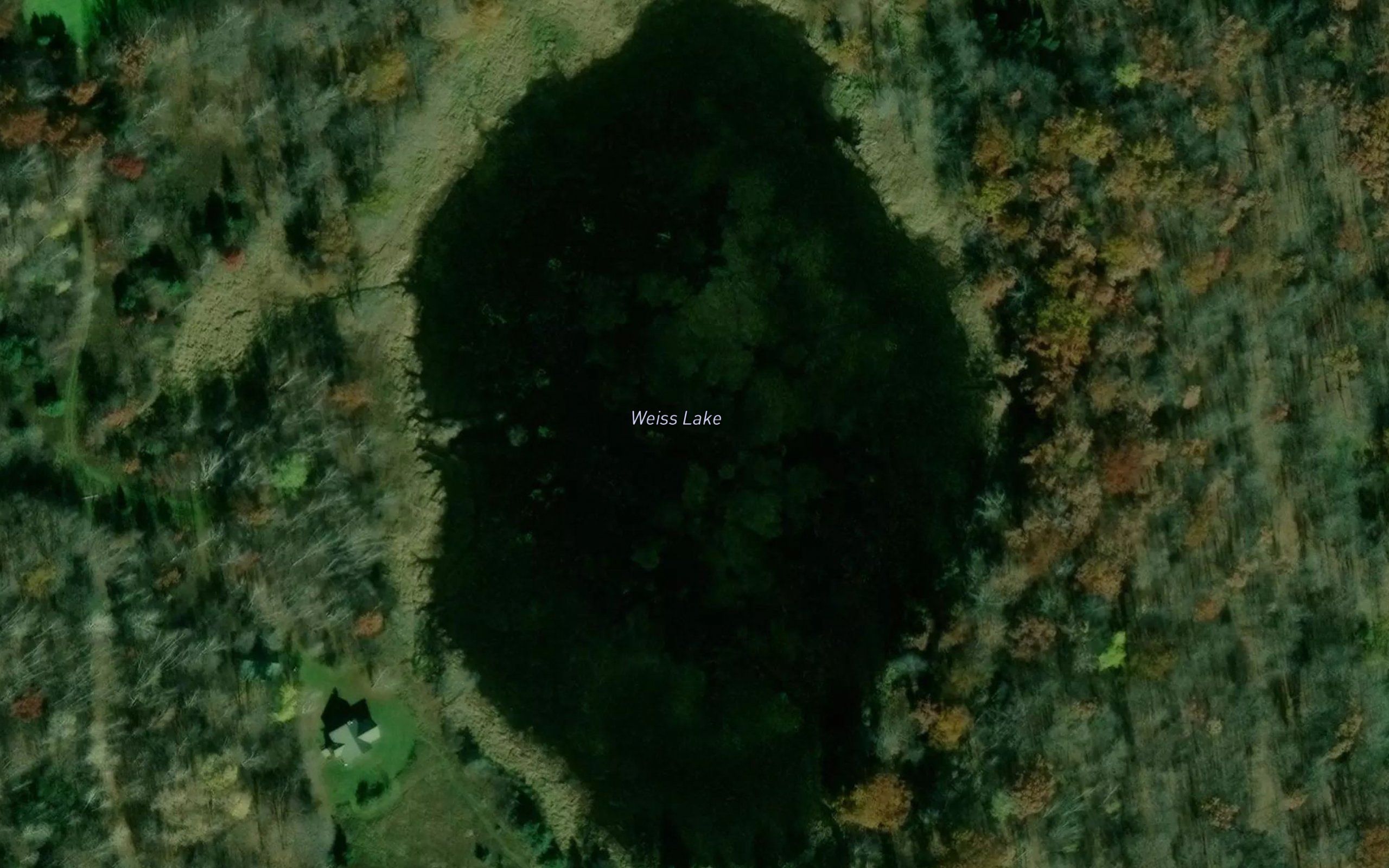 Weiss Lake