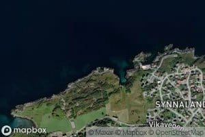 Kjokenvika