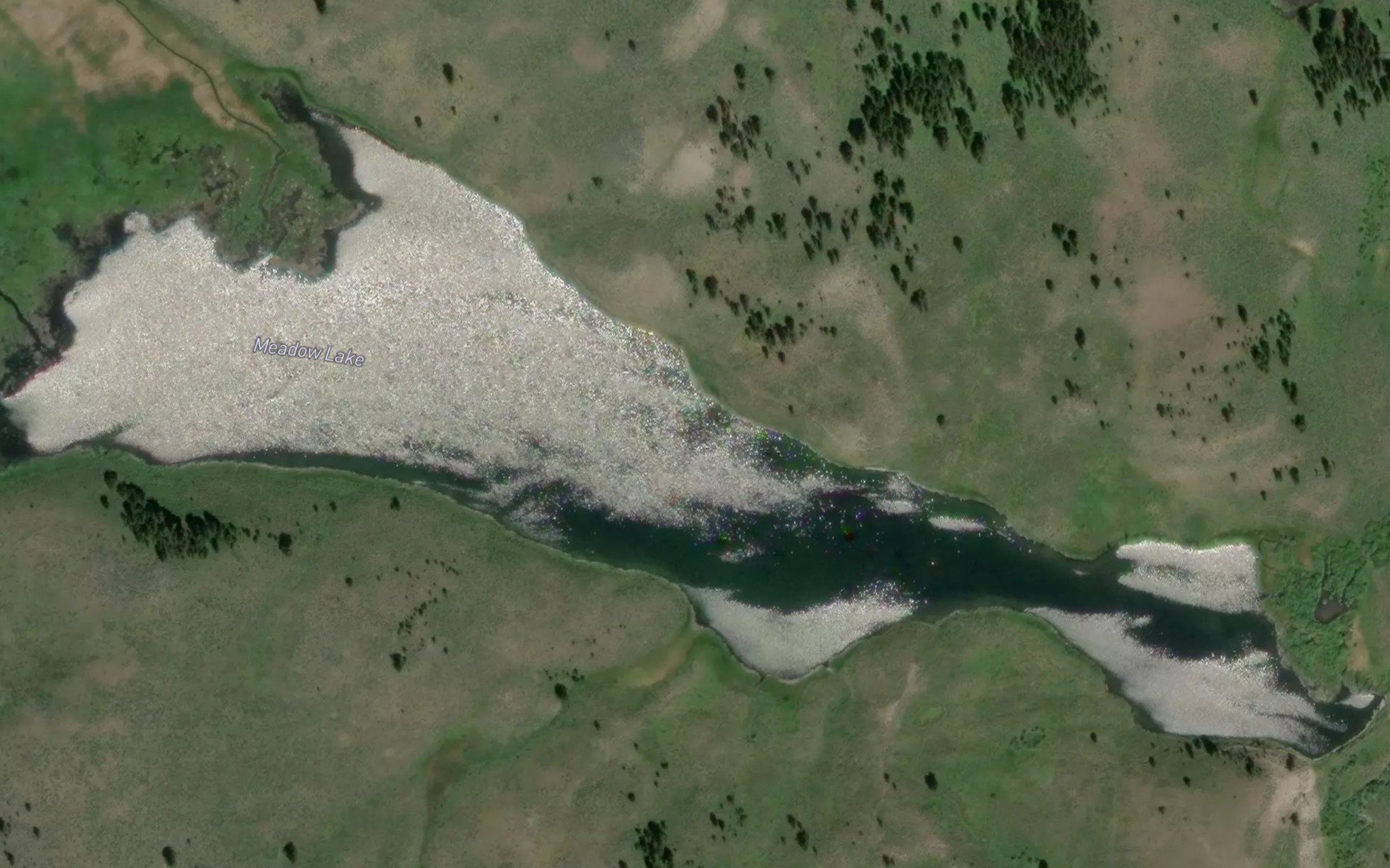 Albino Lake