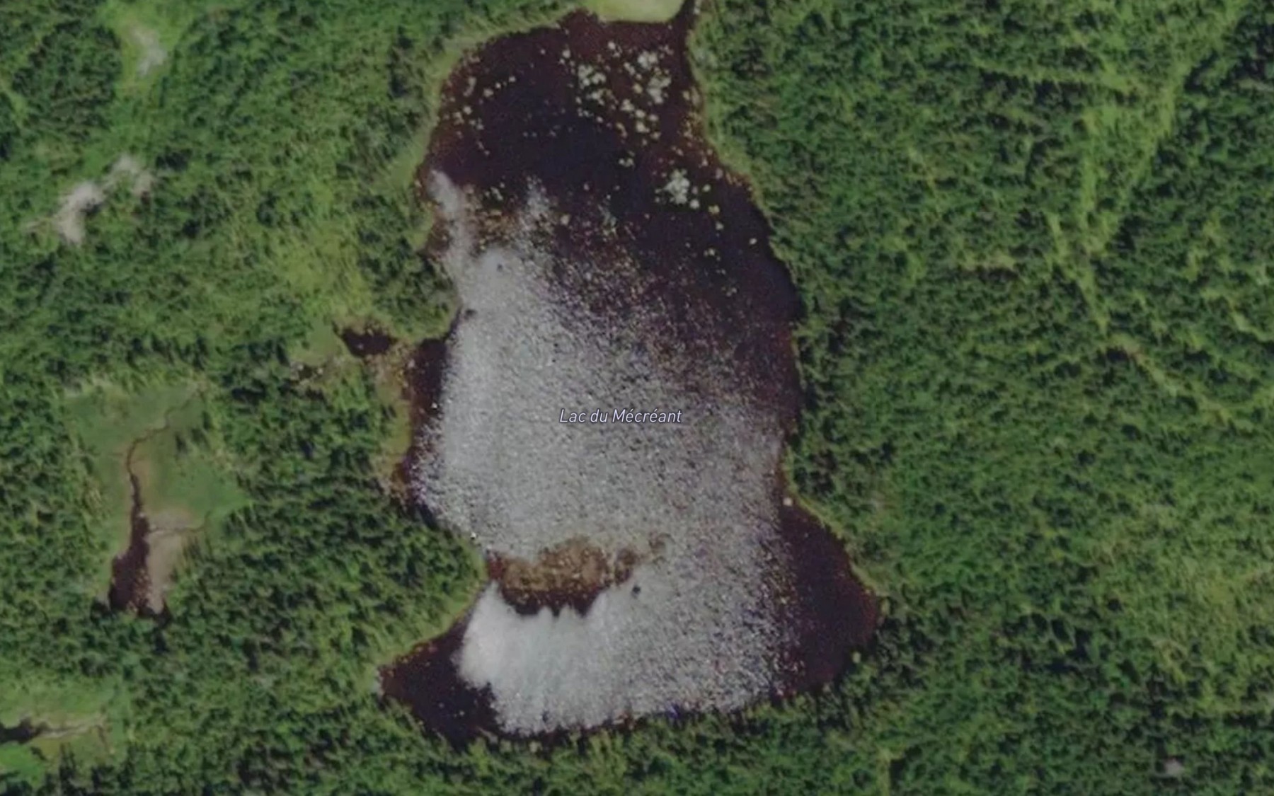Satellite map of the Lac du Mecreant