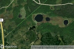 Woodtick Number One Impoundment
