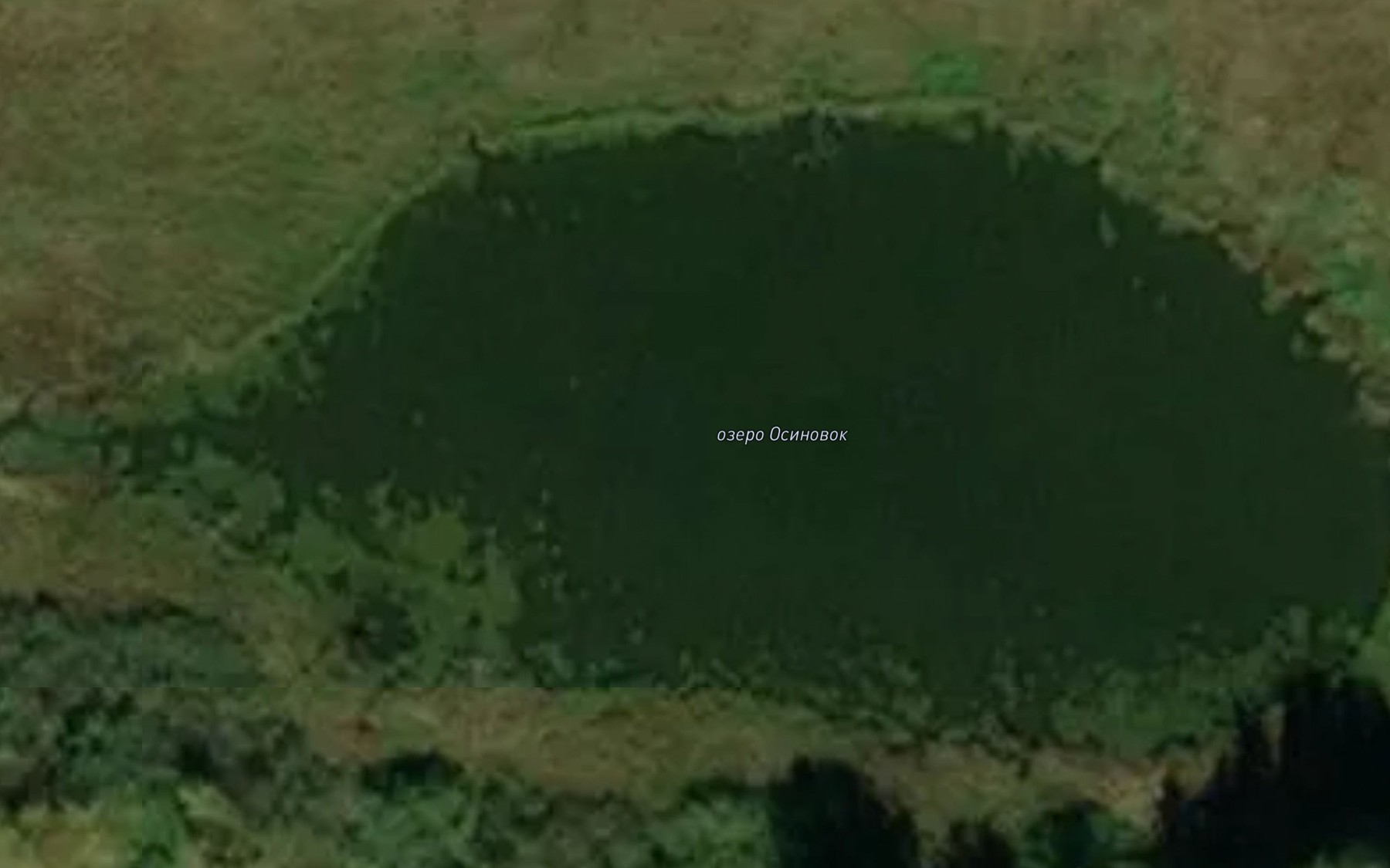 Satellite map of the Ozero Osinovoye