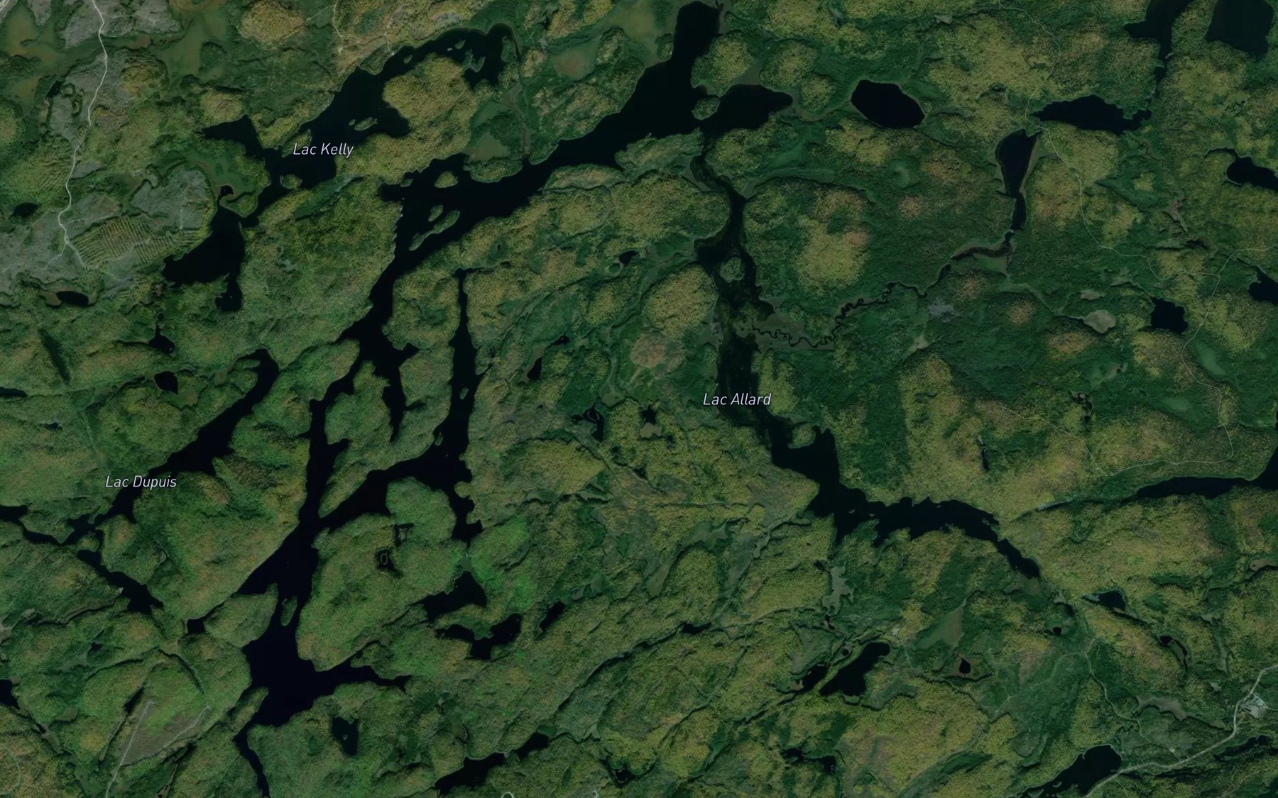 Satellite map of the Lac Allard