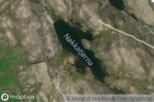 Nokkatjorni
