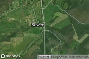 South Fork Little Sewee Creek