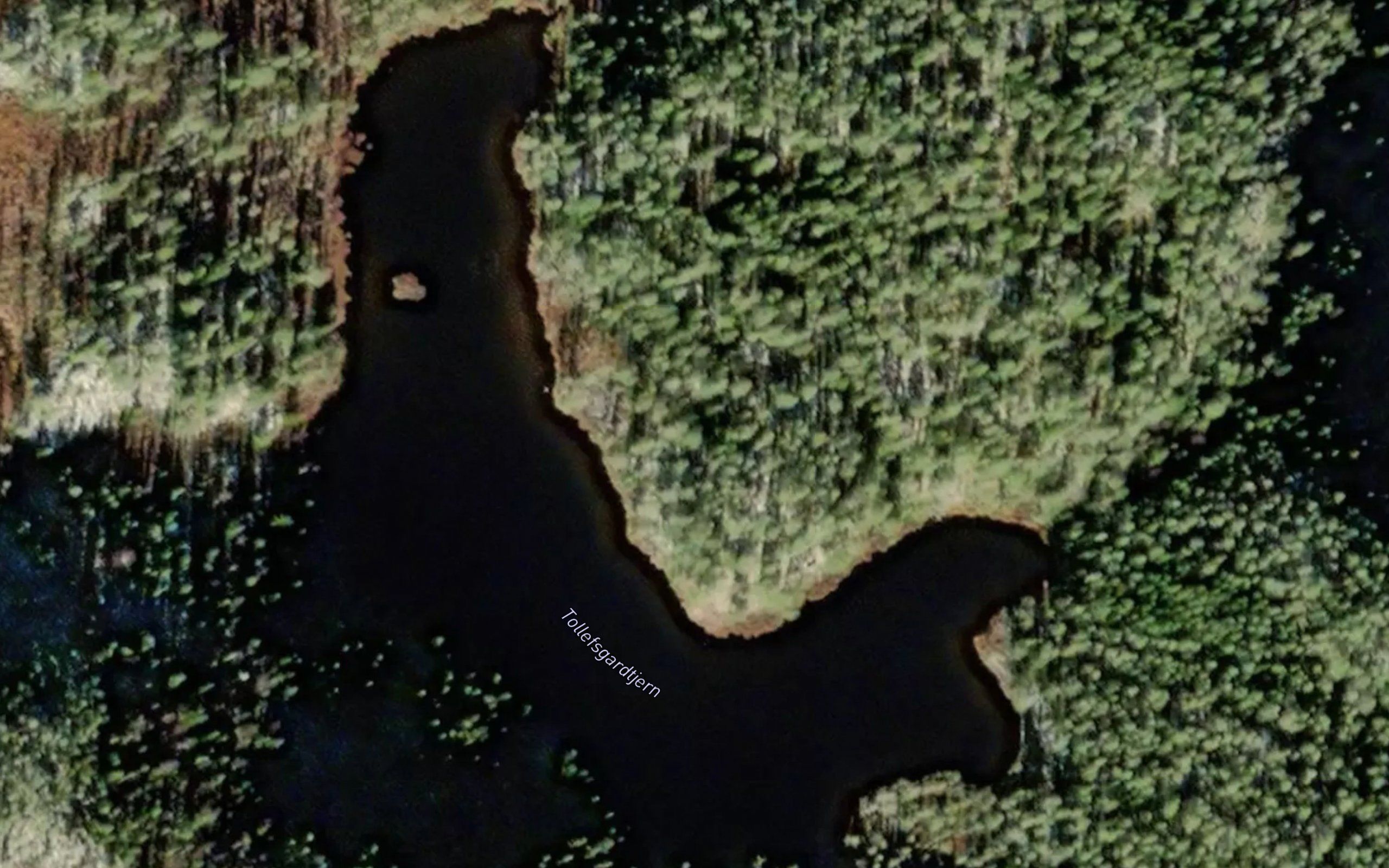 Tollefsgardtjern