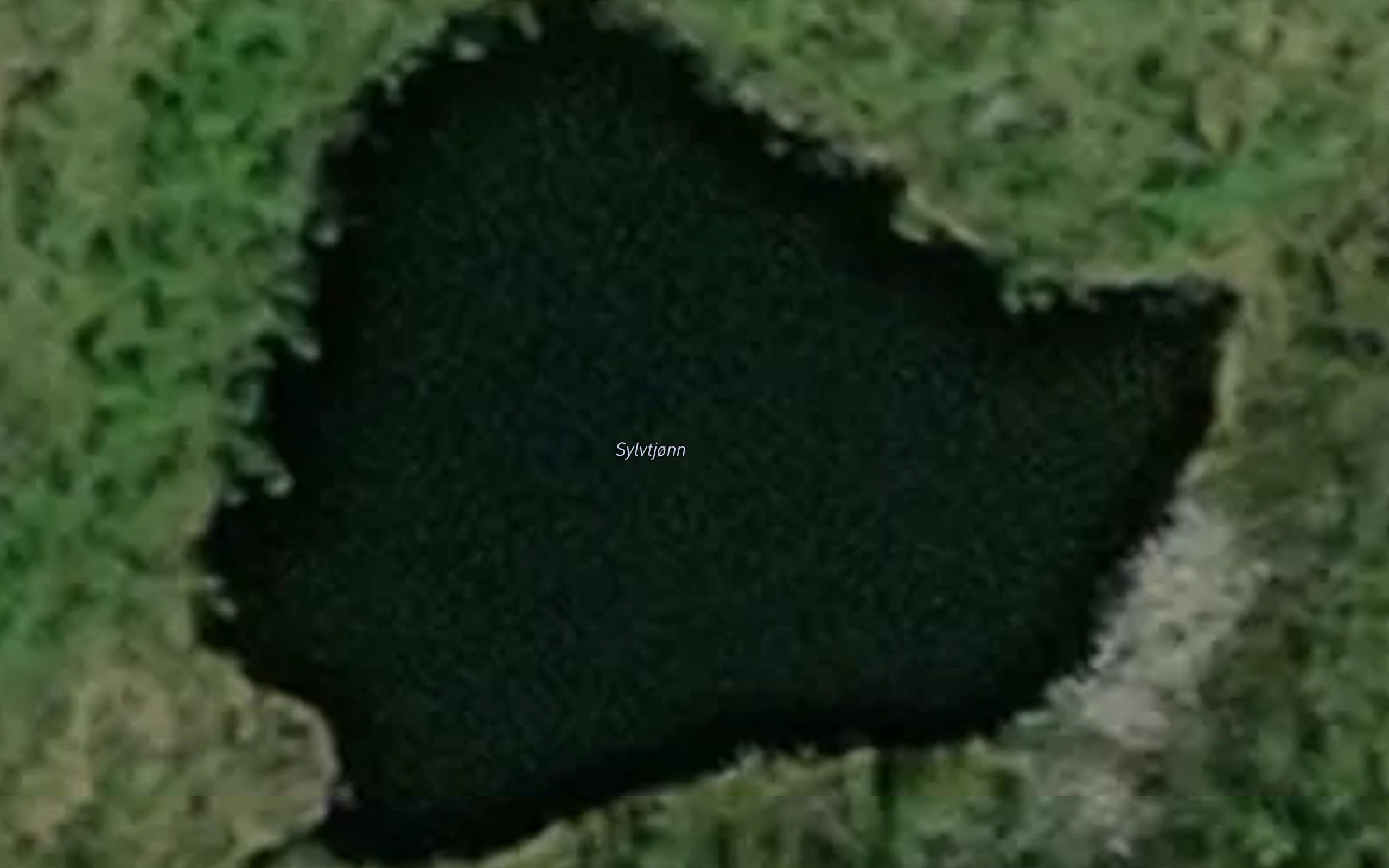 Sylvtjonn
