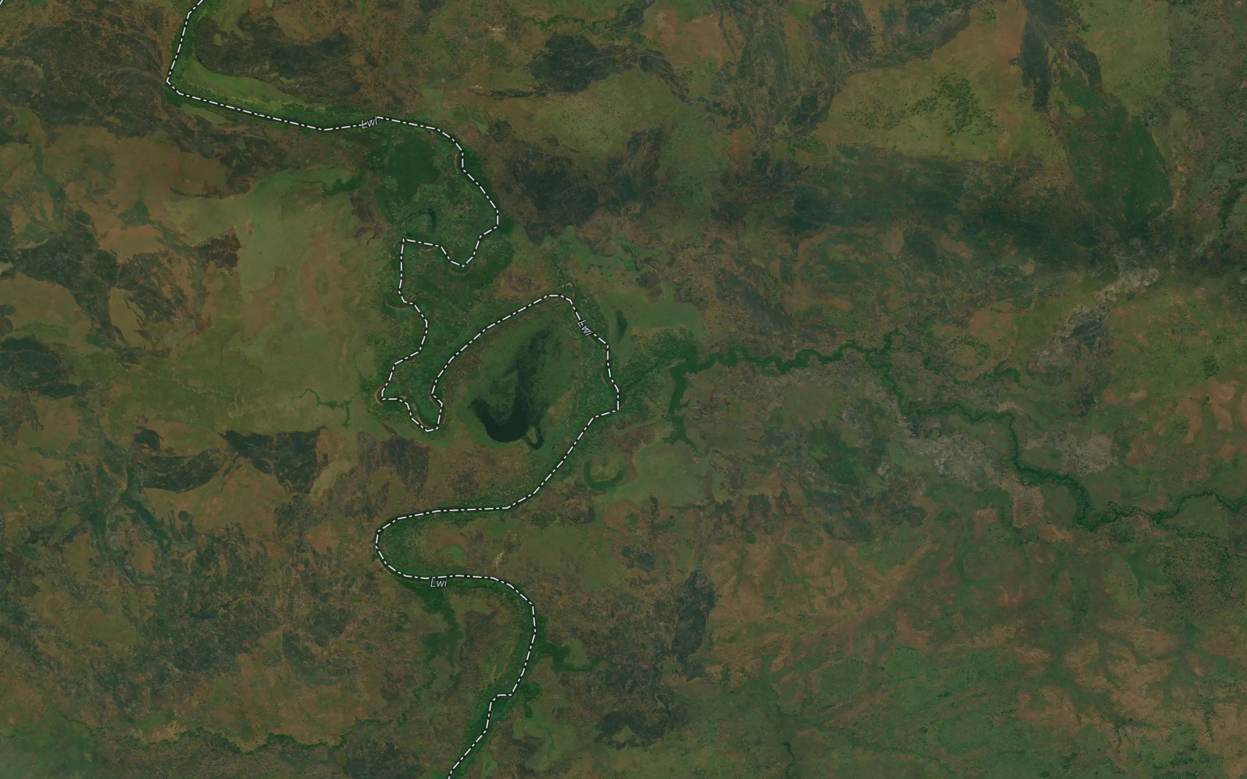 Luu