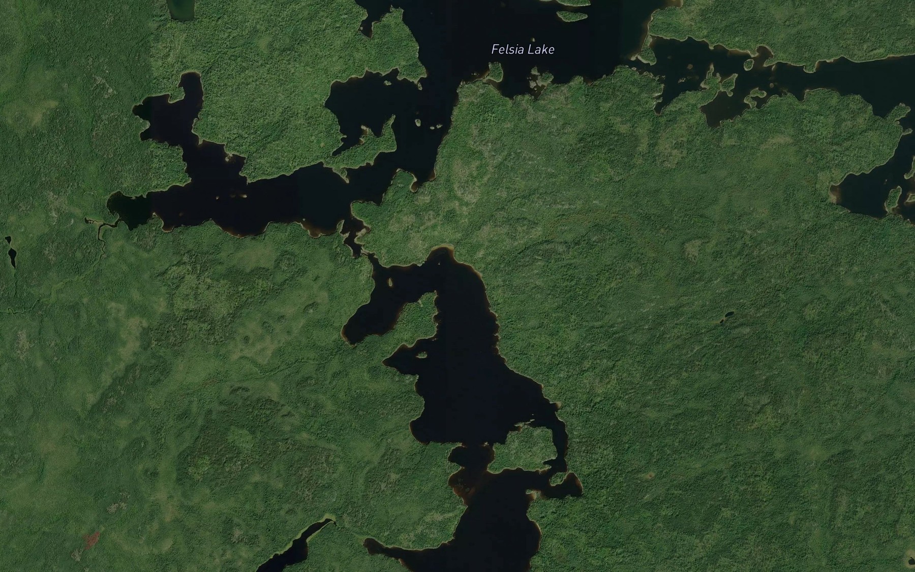 Satellite map of the Witchwood River
