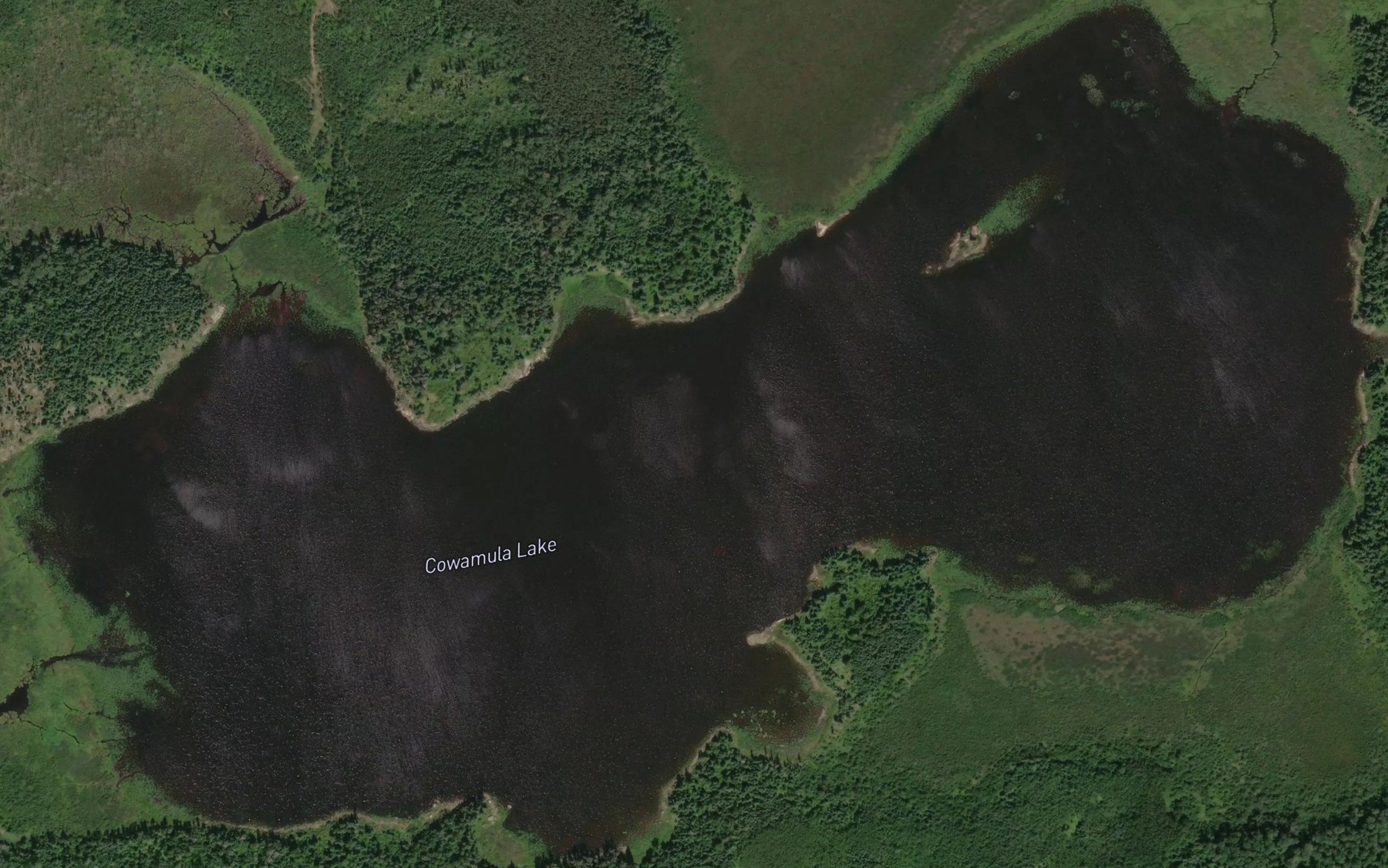 Satellite map of the Cowamula Lake