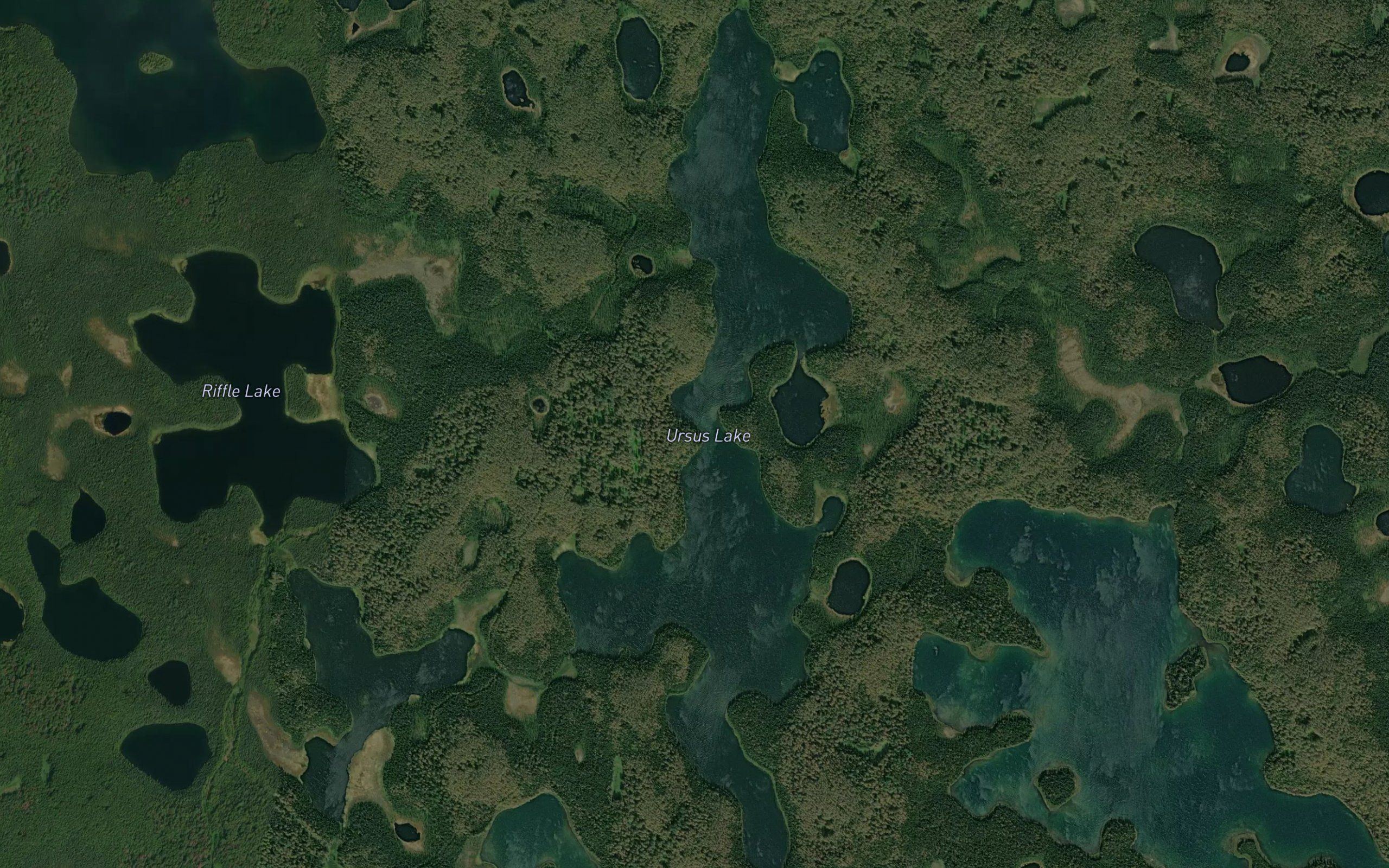 Ursus Lake