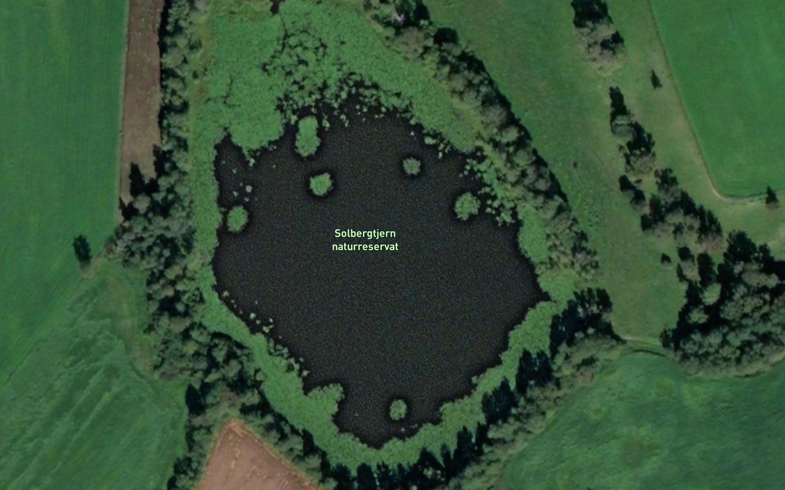 Solbergtjern