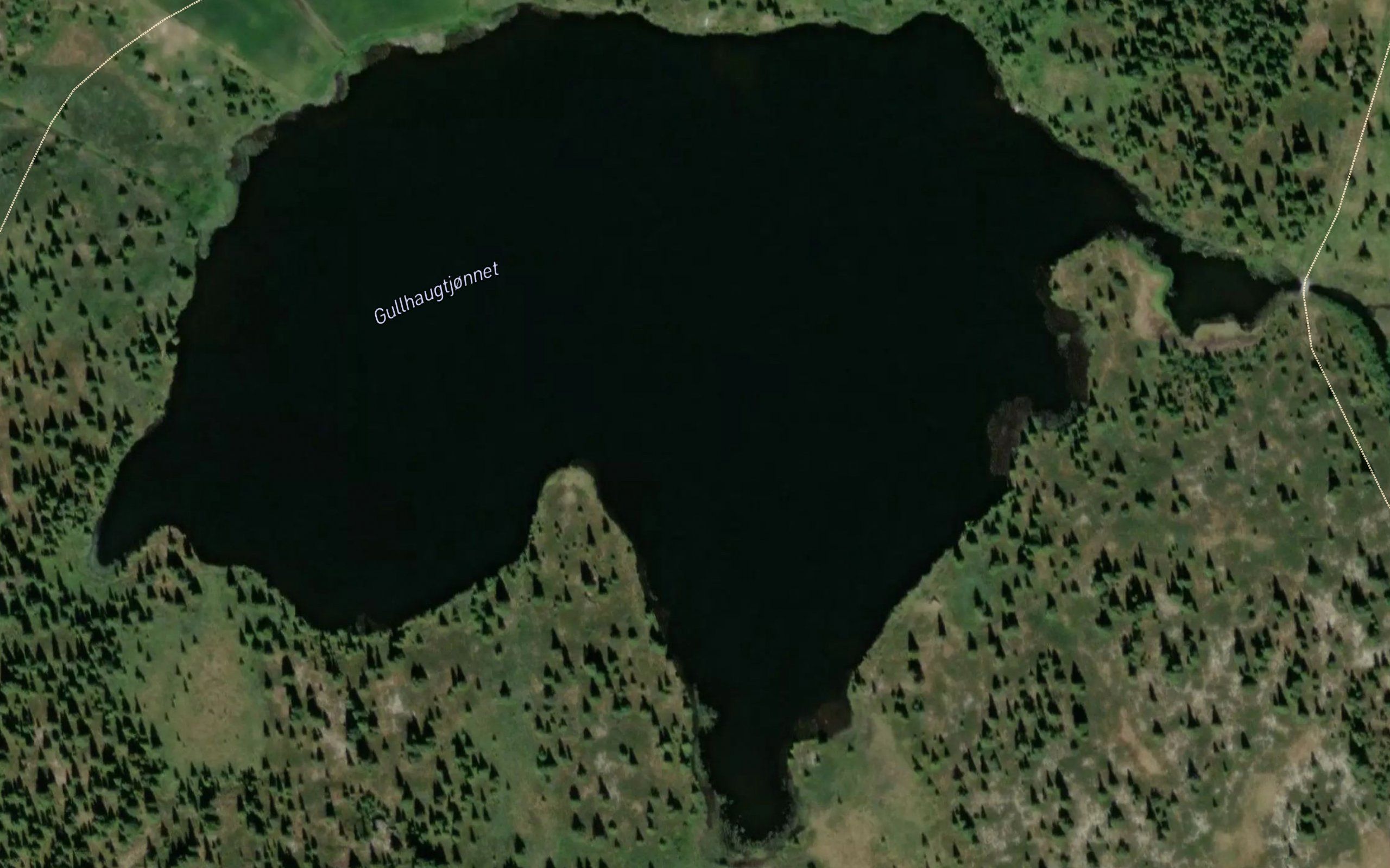 Gullhaugtjornet
