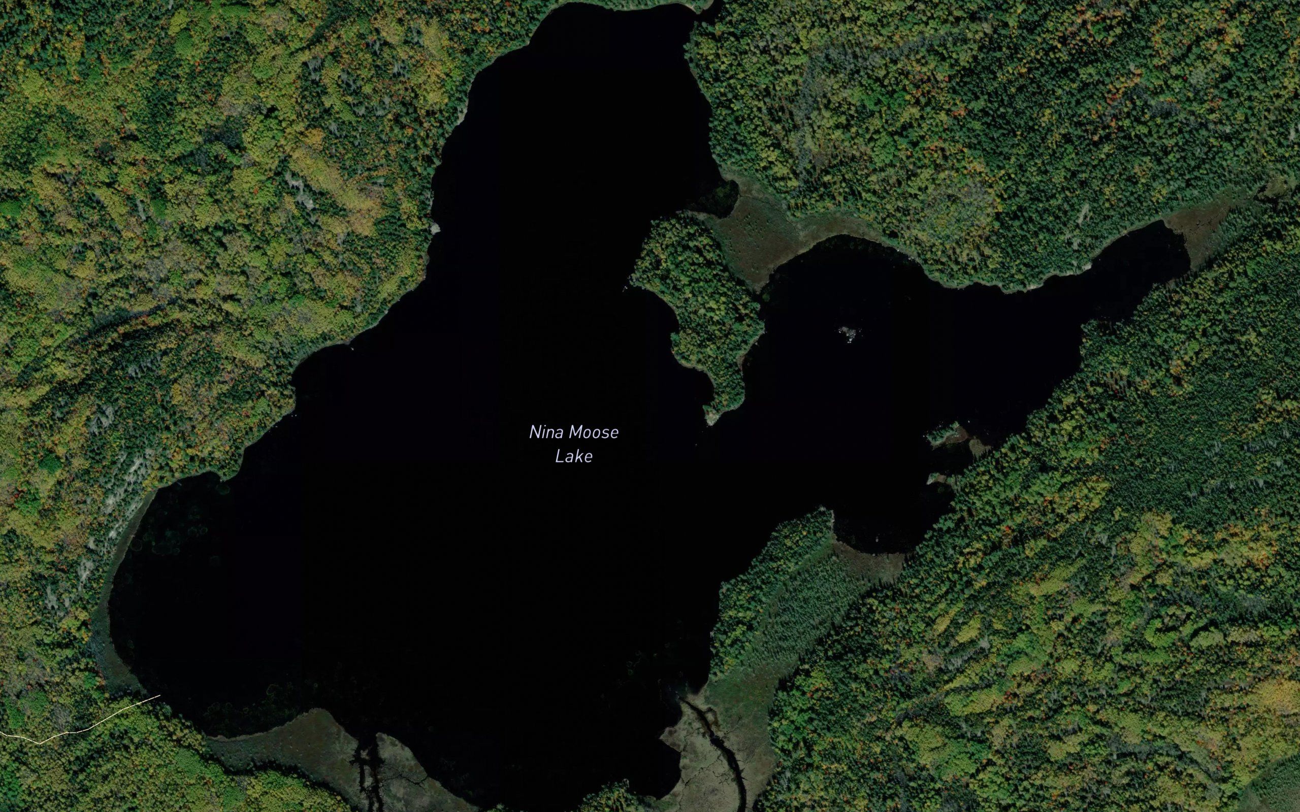 Nina Moose Lake