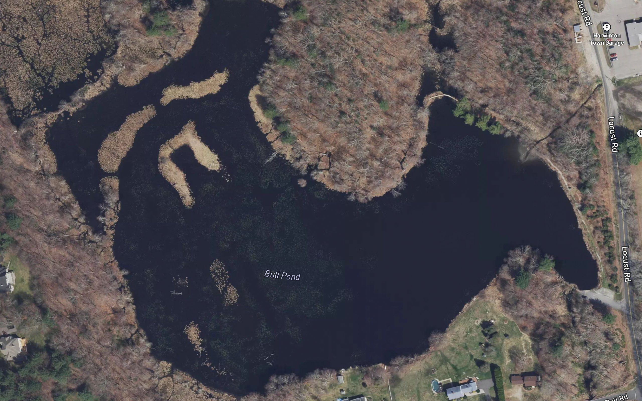 Bull Pond
