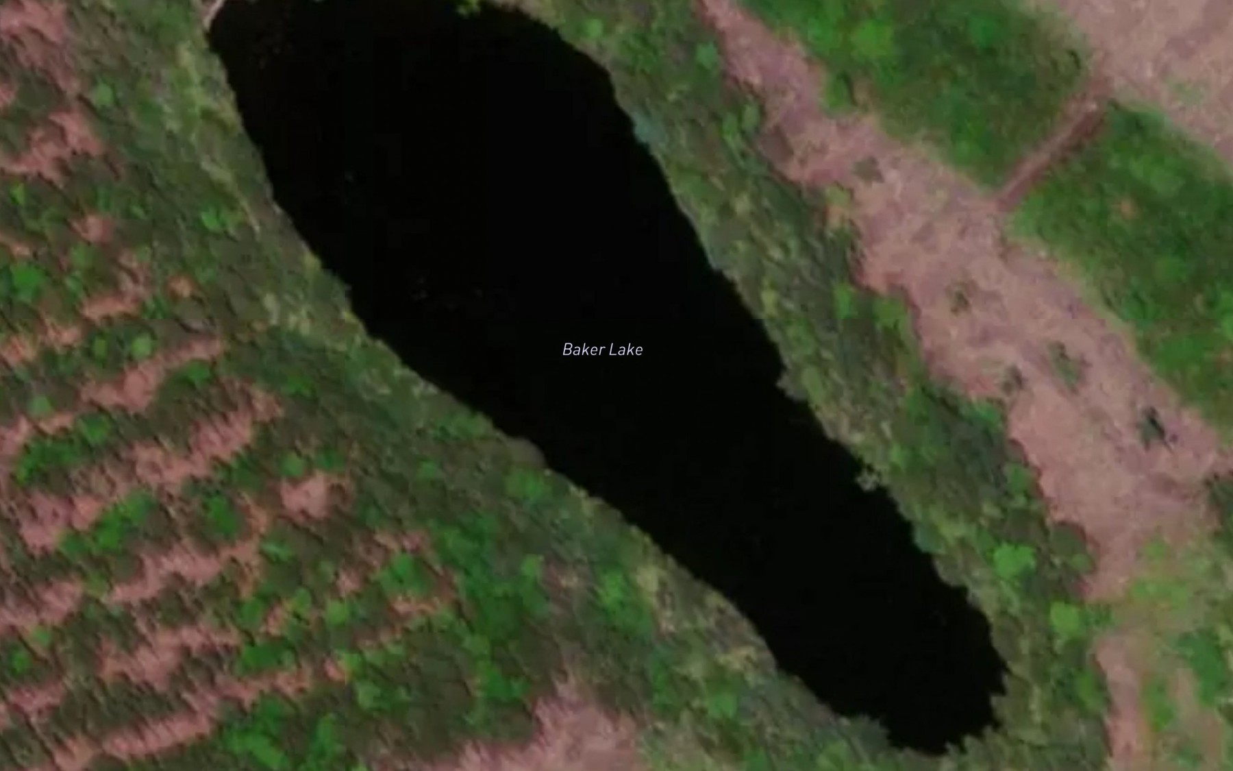 Satellite map of the Baker Lake