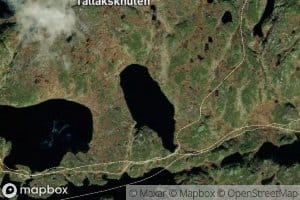 Omstjorn
