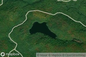 Camp Forty One Lake