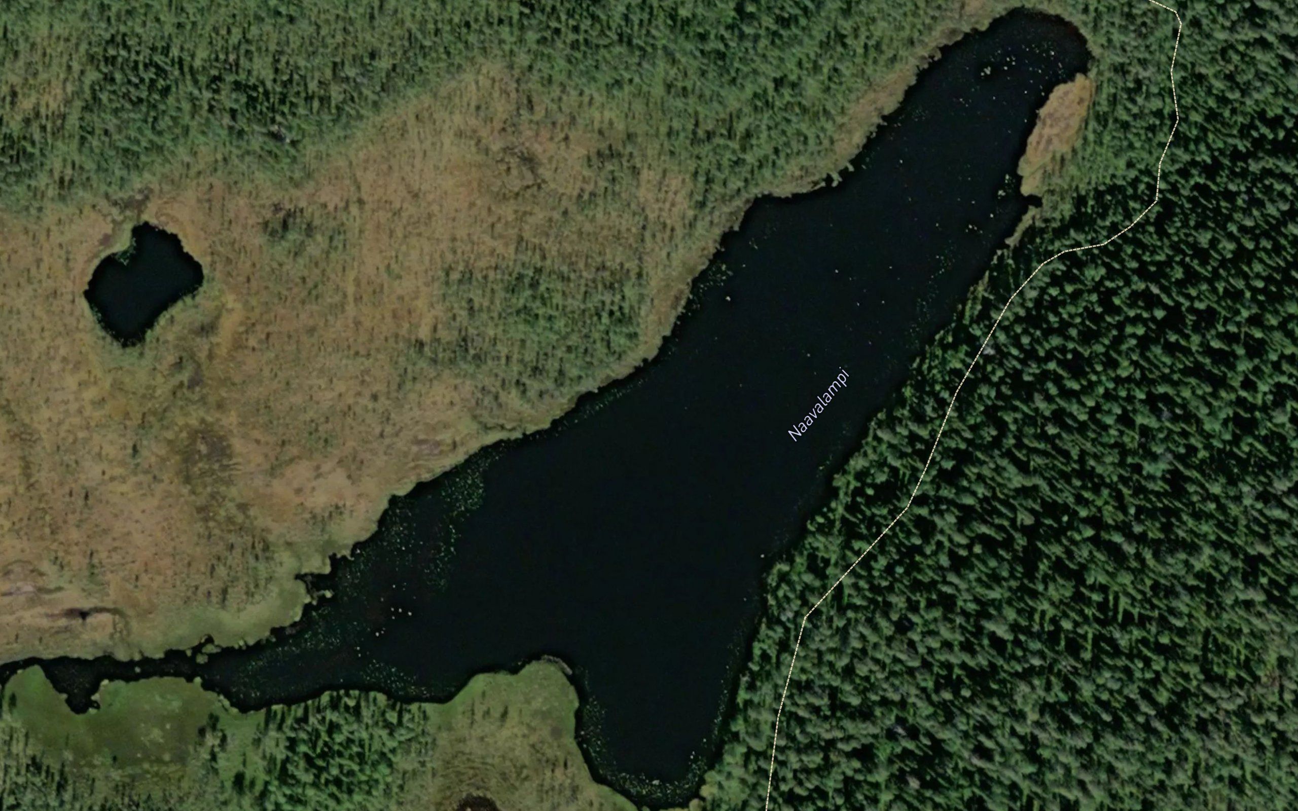 Naavalampi