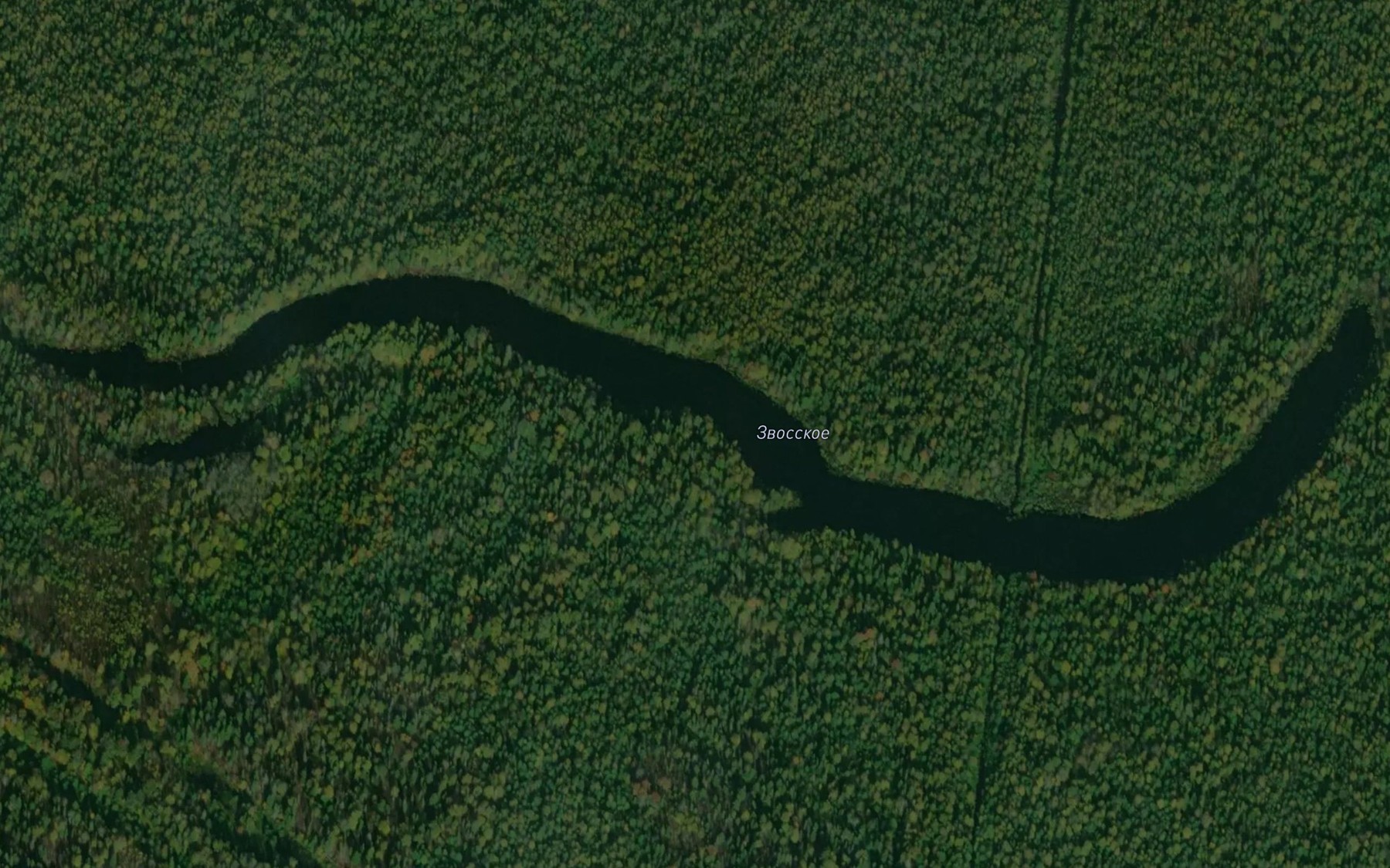 Satellite map of the Ozero Zvosskoye