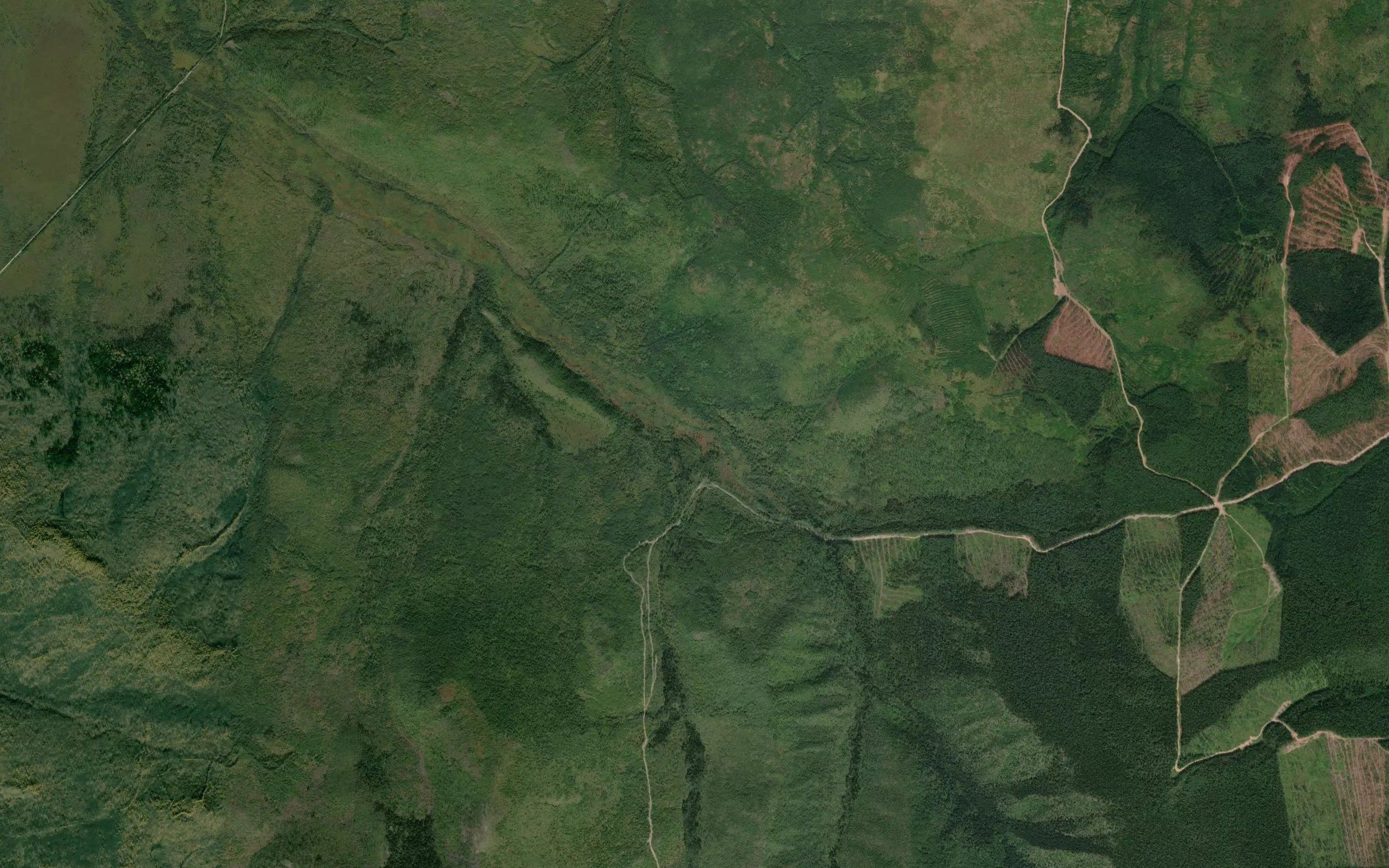 Levaya Boryndzha