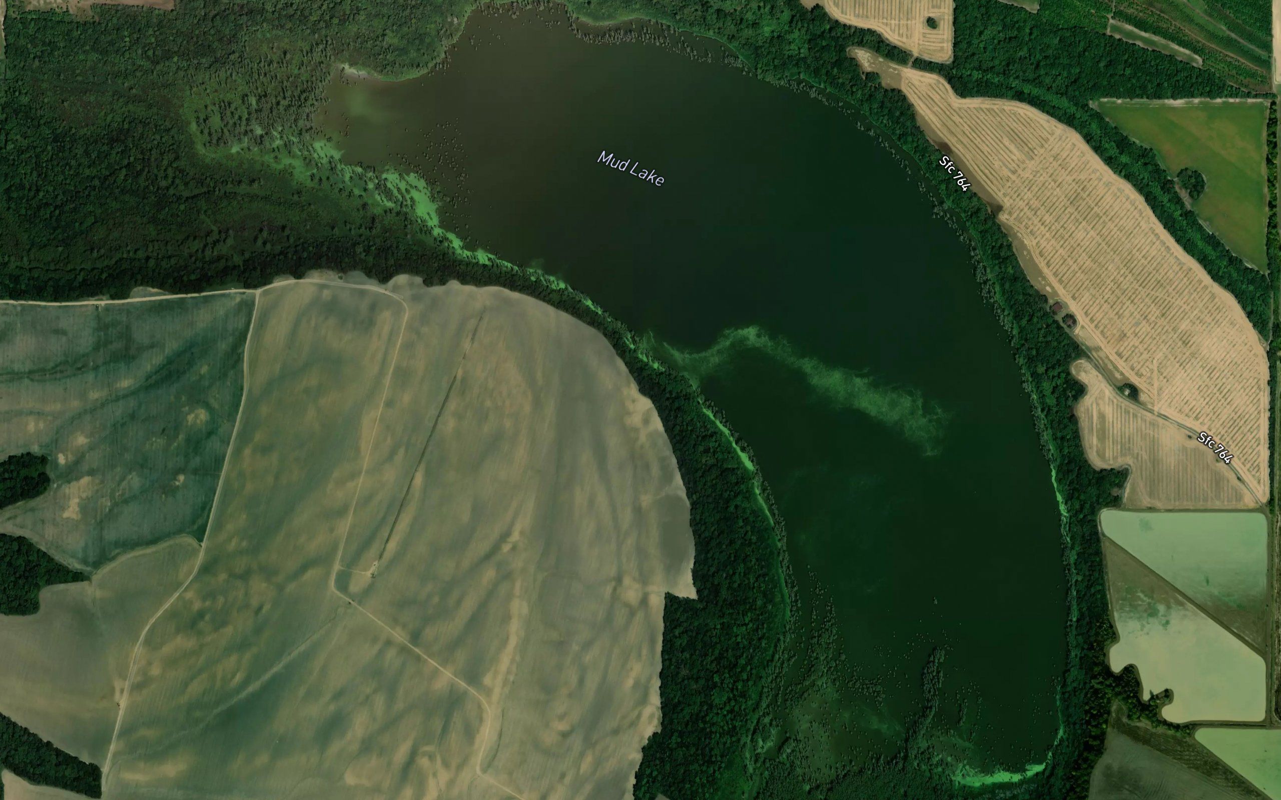 Mud Lake