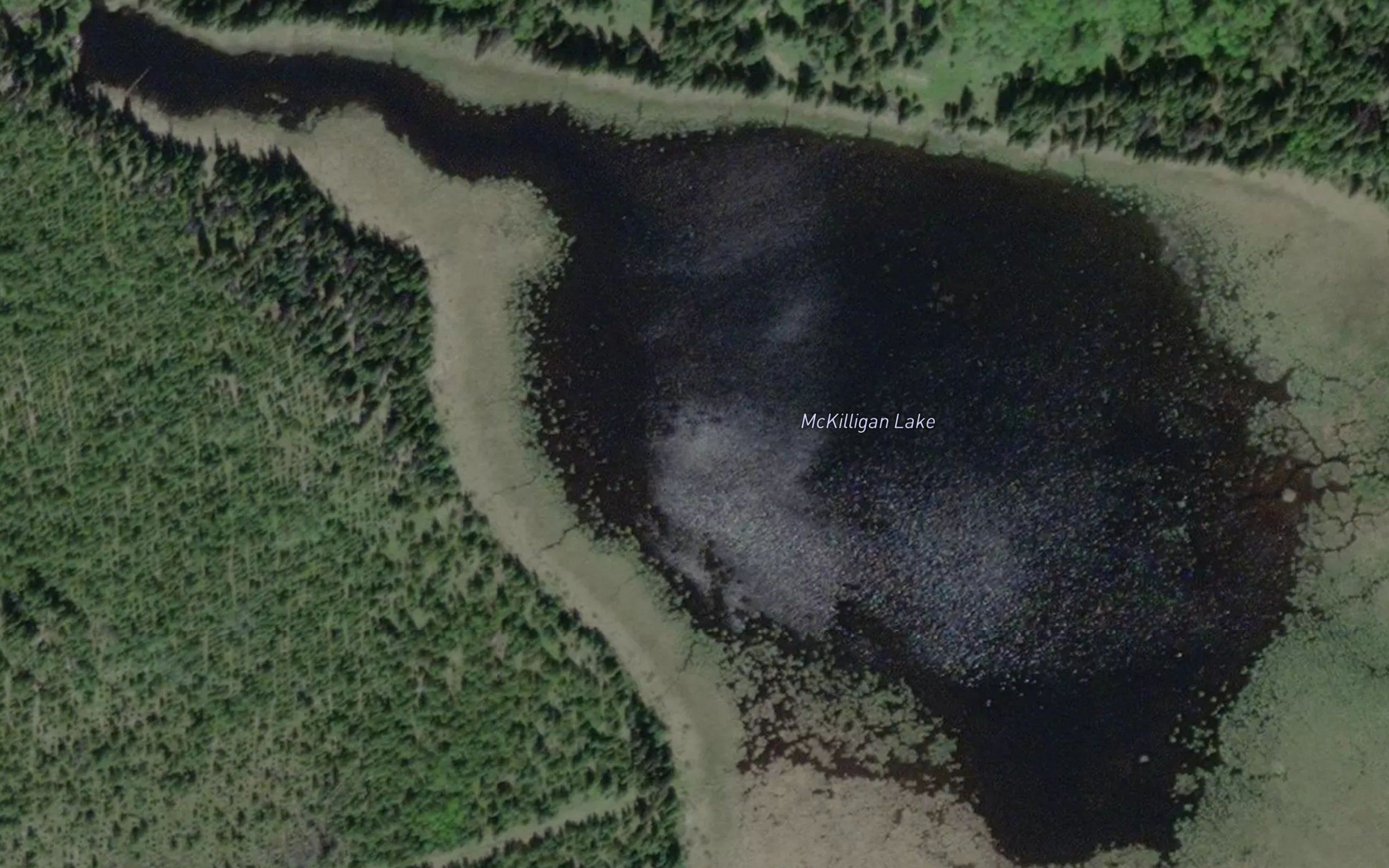 McKilligan Lake