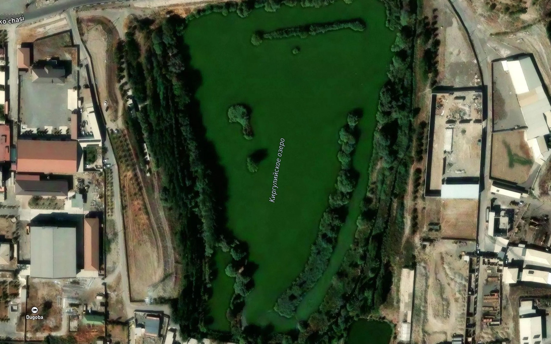 Satellite map of the Kirguli Ko`li