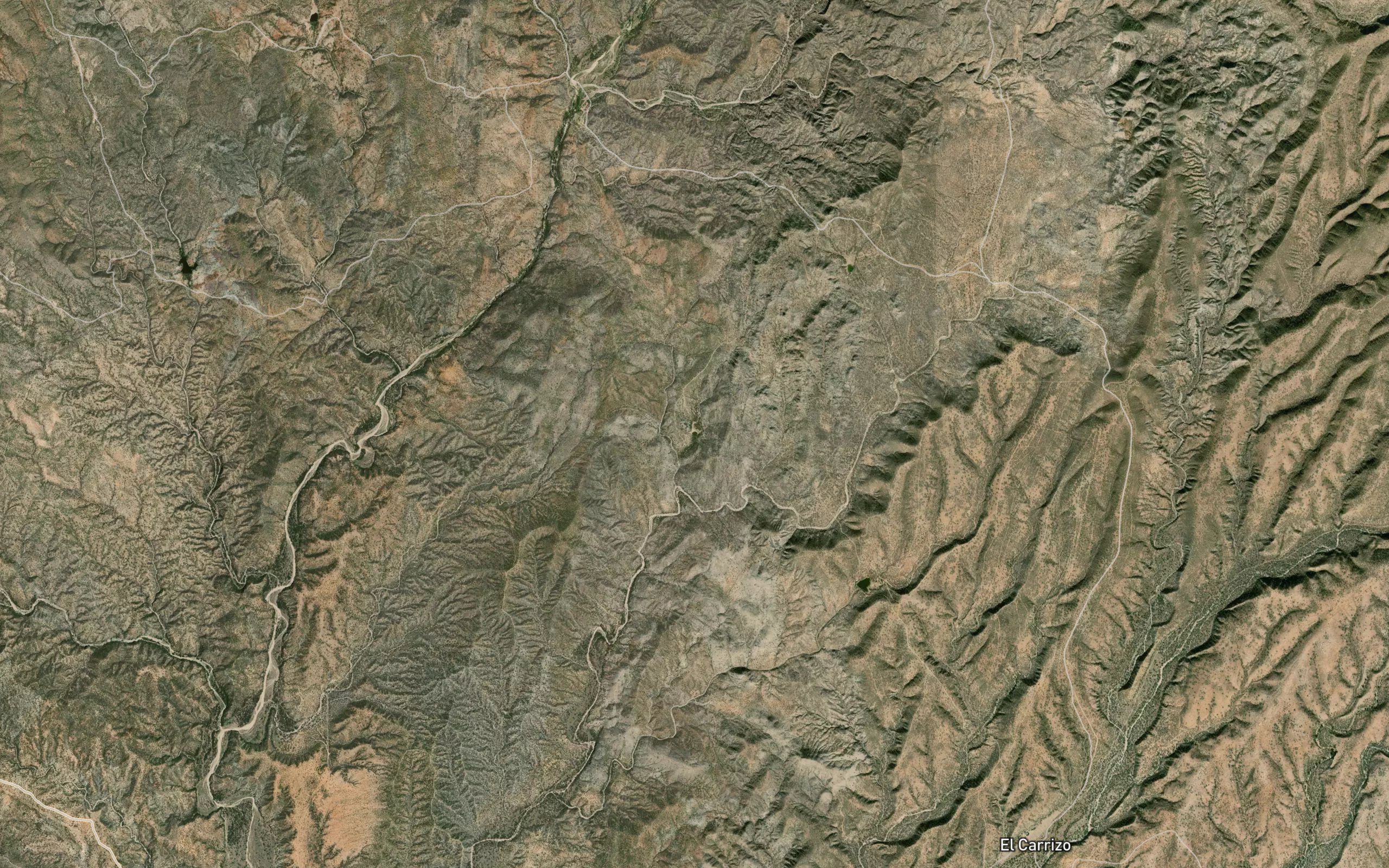 Palo Verde