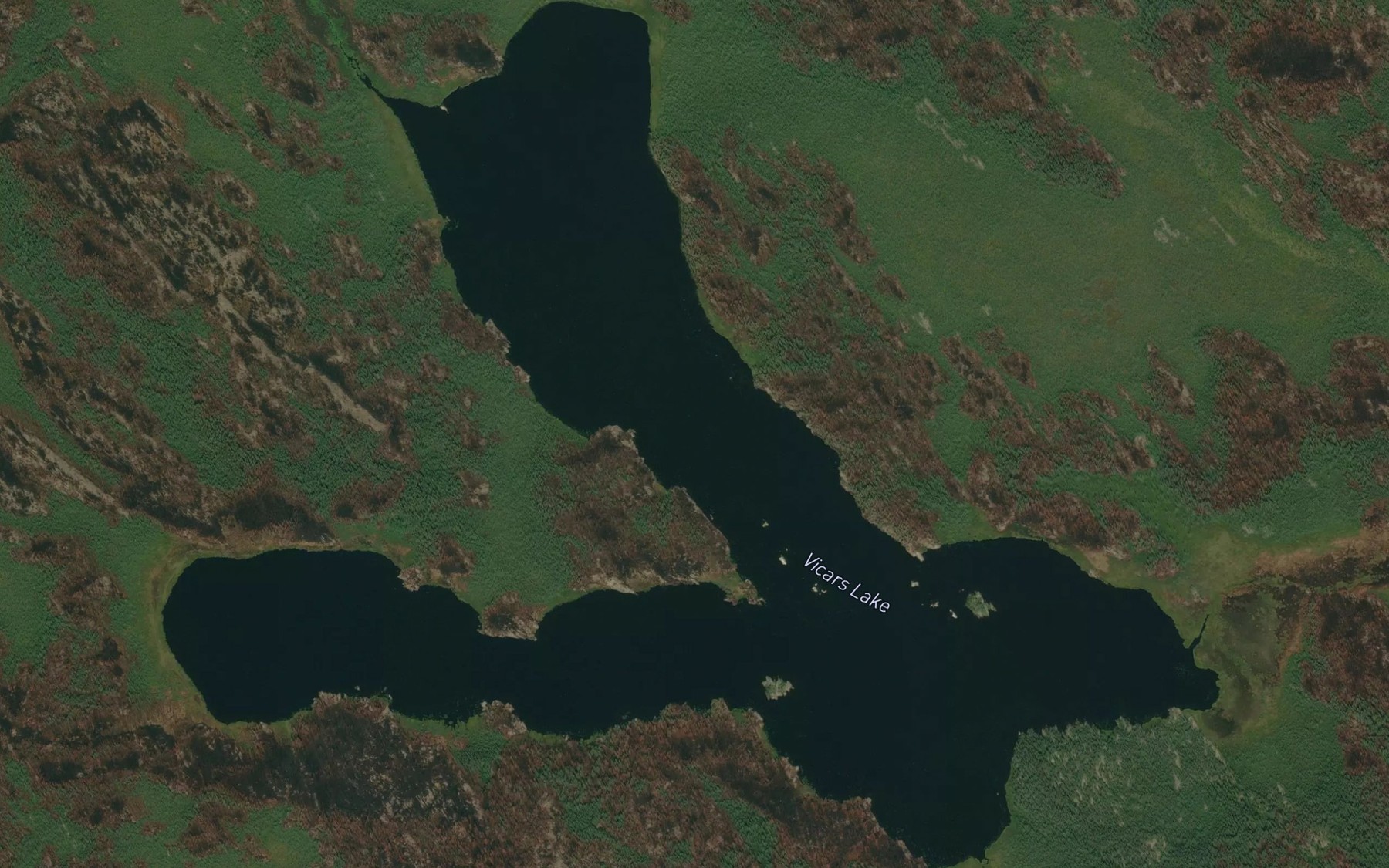 Satellite map of the Vicars Lake
