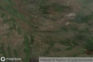 Cook Arm