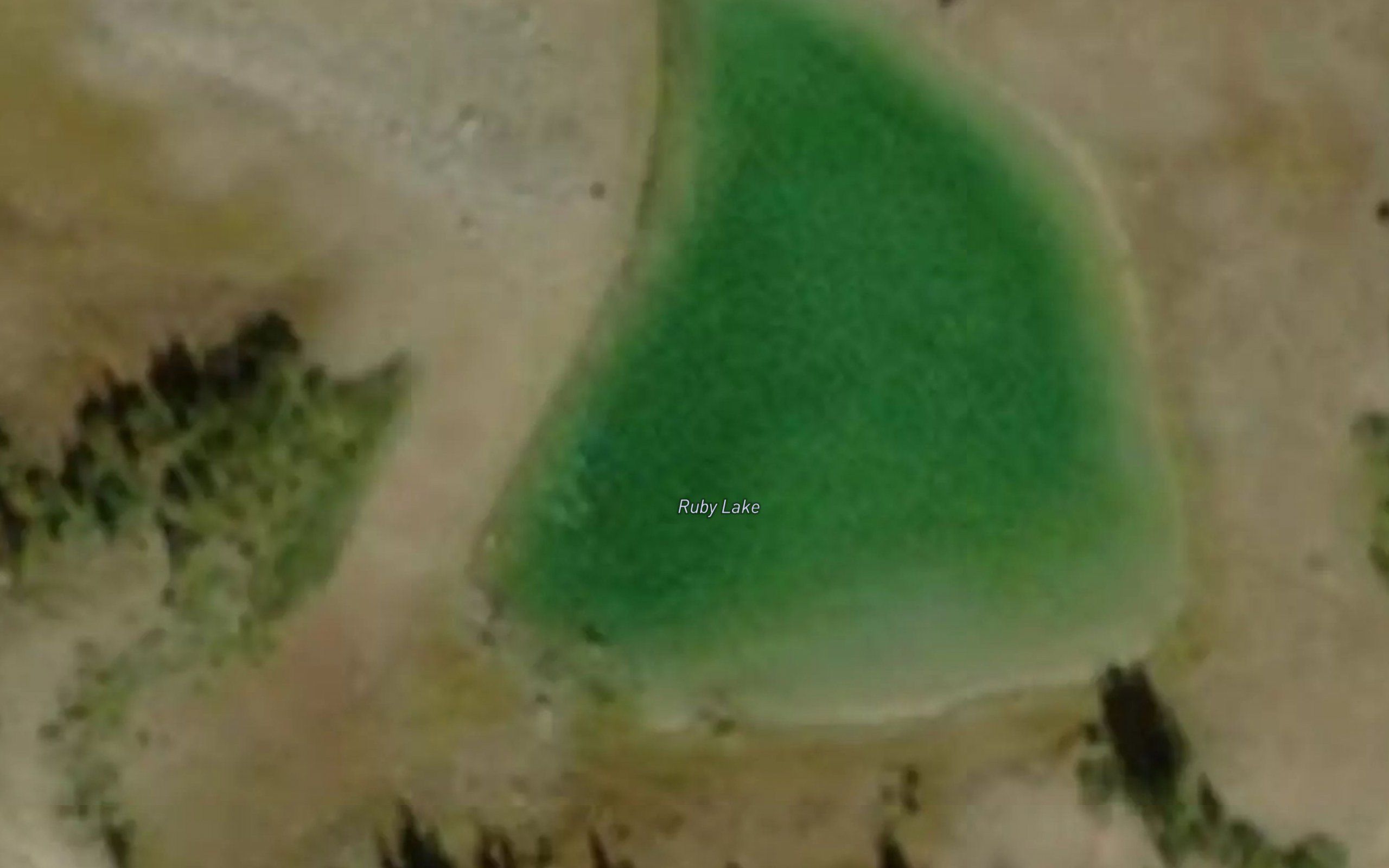 Ruby Lake