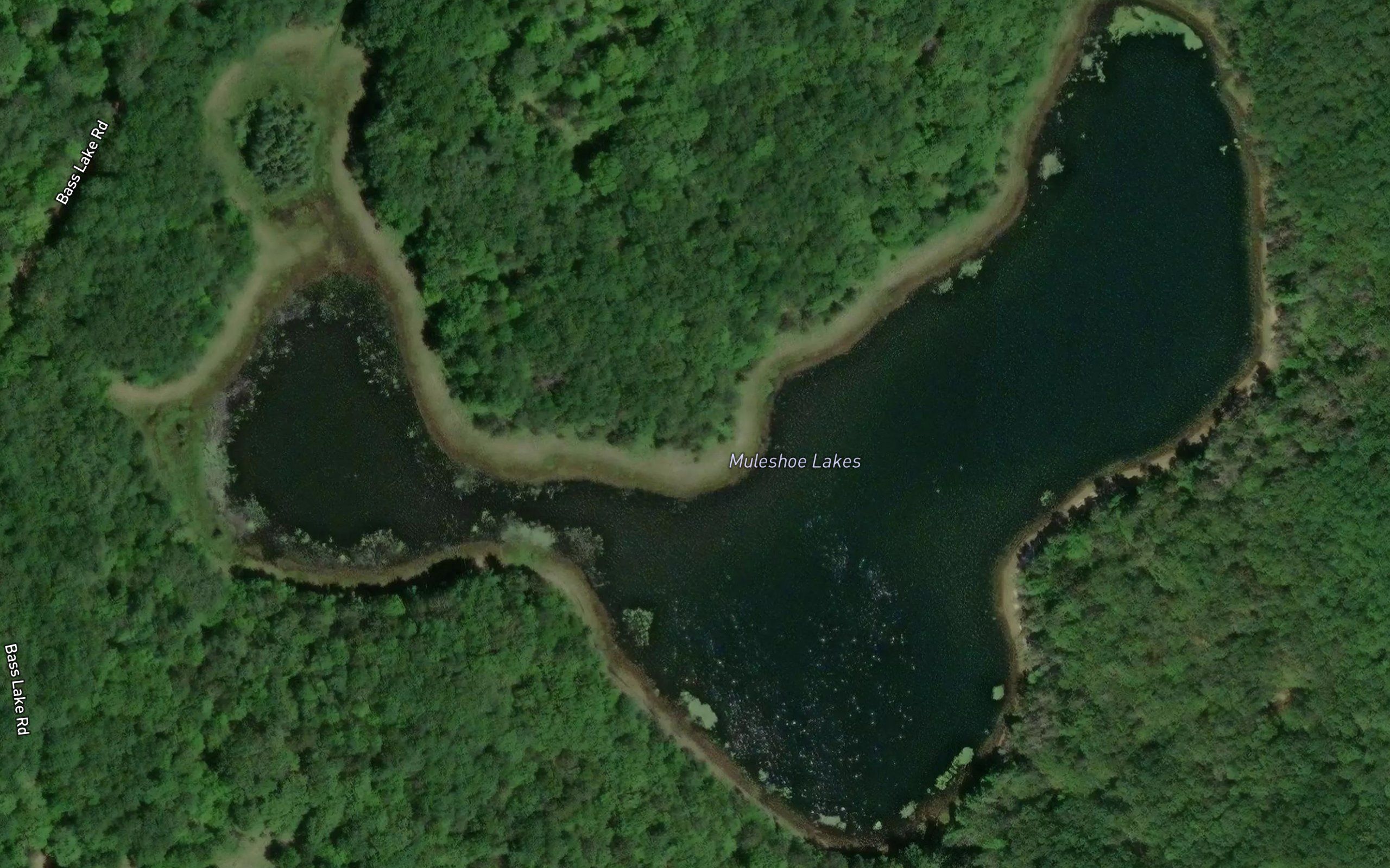 Muleshoe Lakes