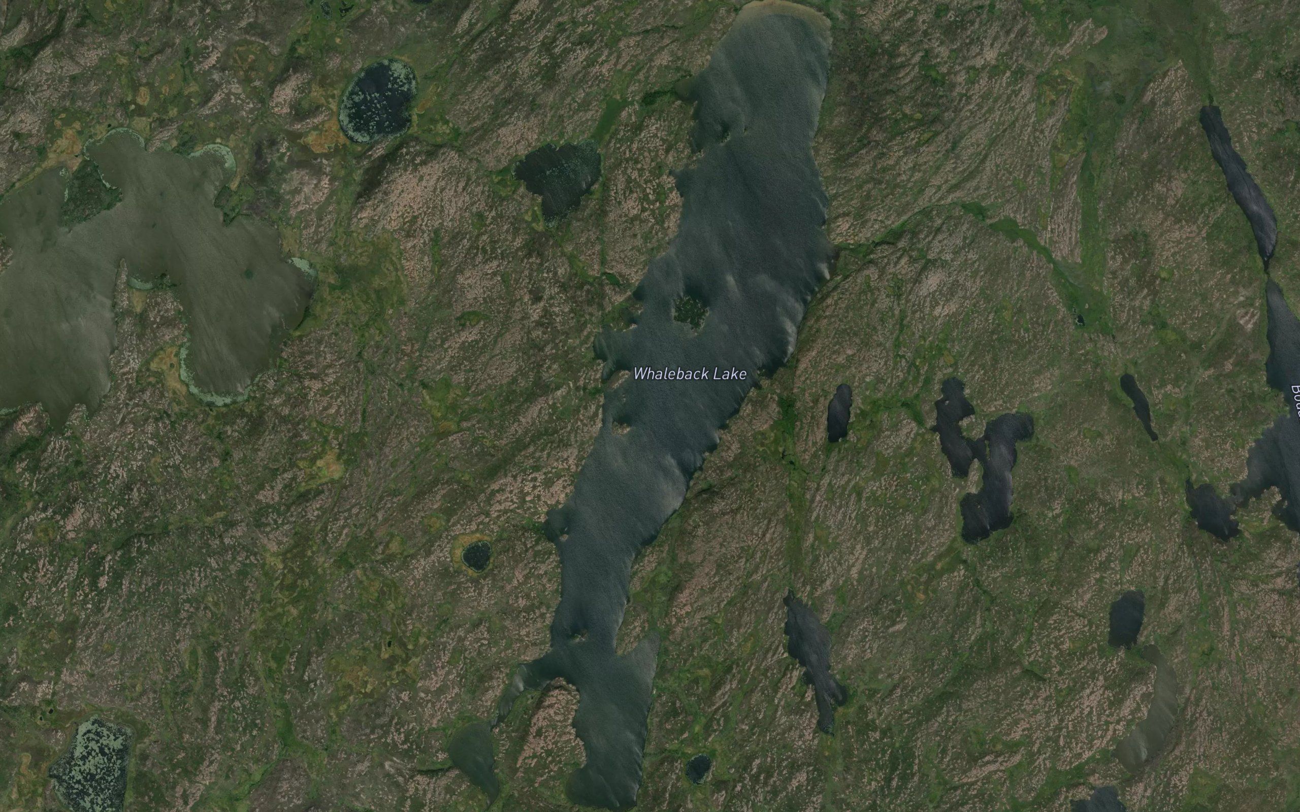 Whaleback Lake