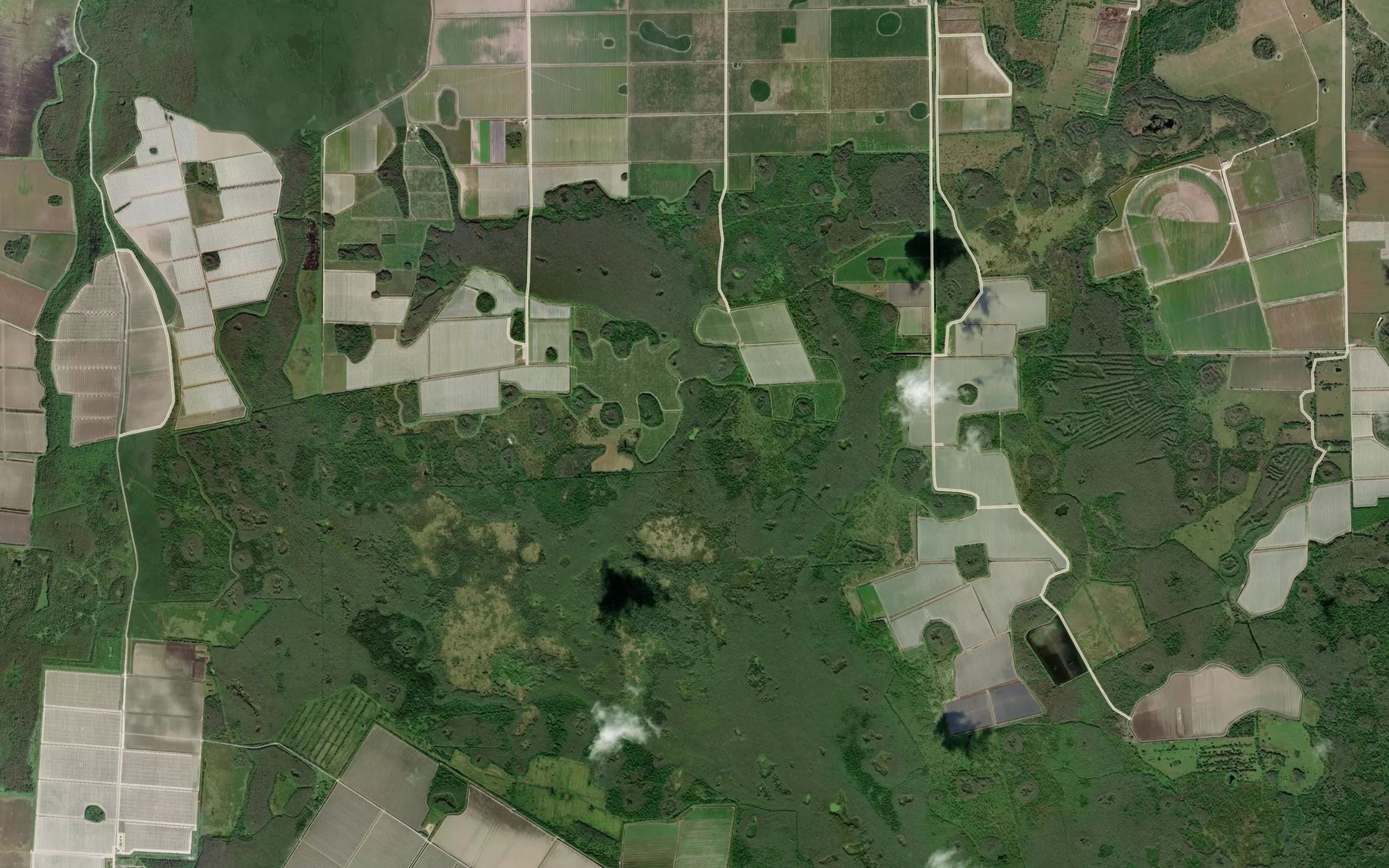Satellite map of the Brown Lake