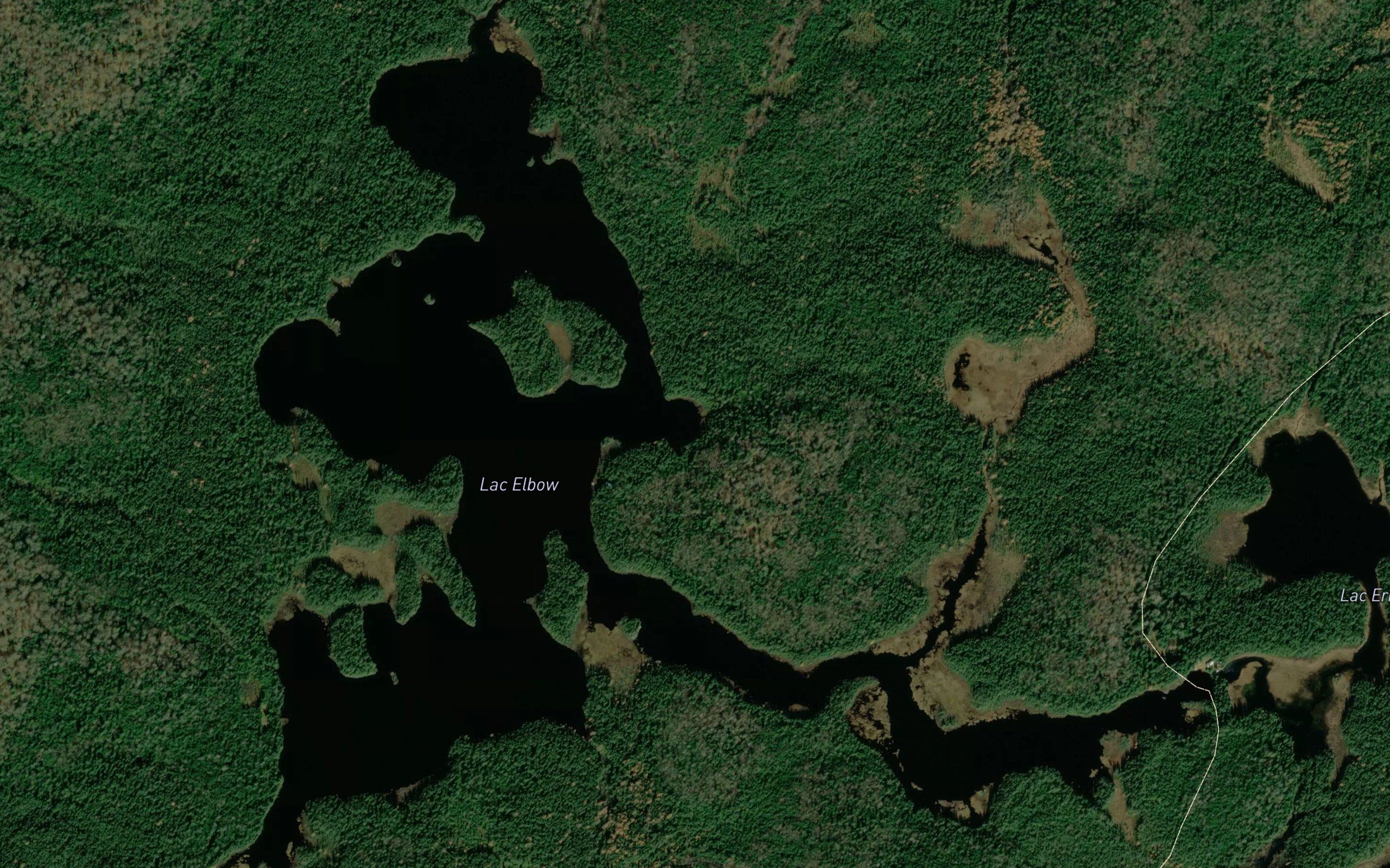 Lac Elder