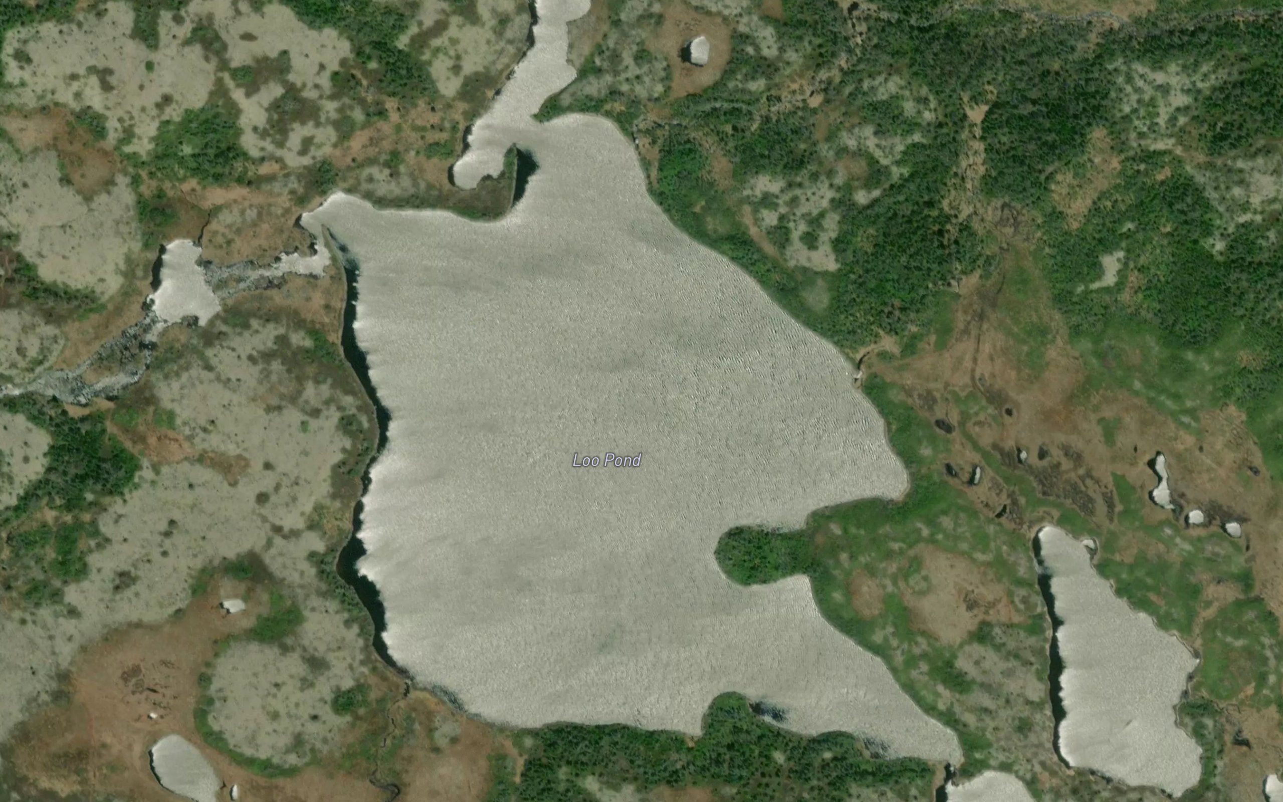 Loo Pond