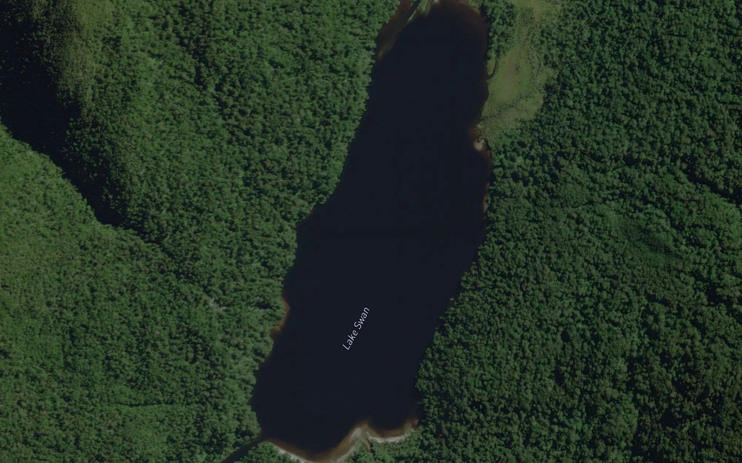 Lake Swan